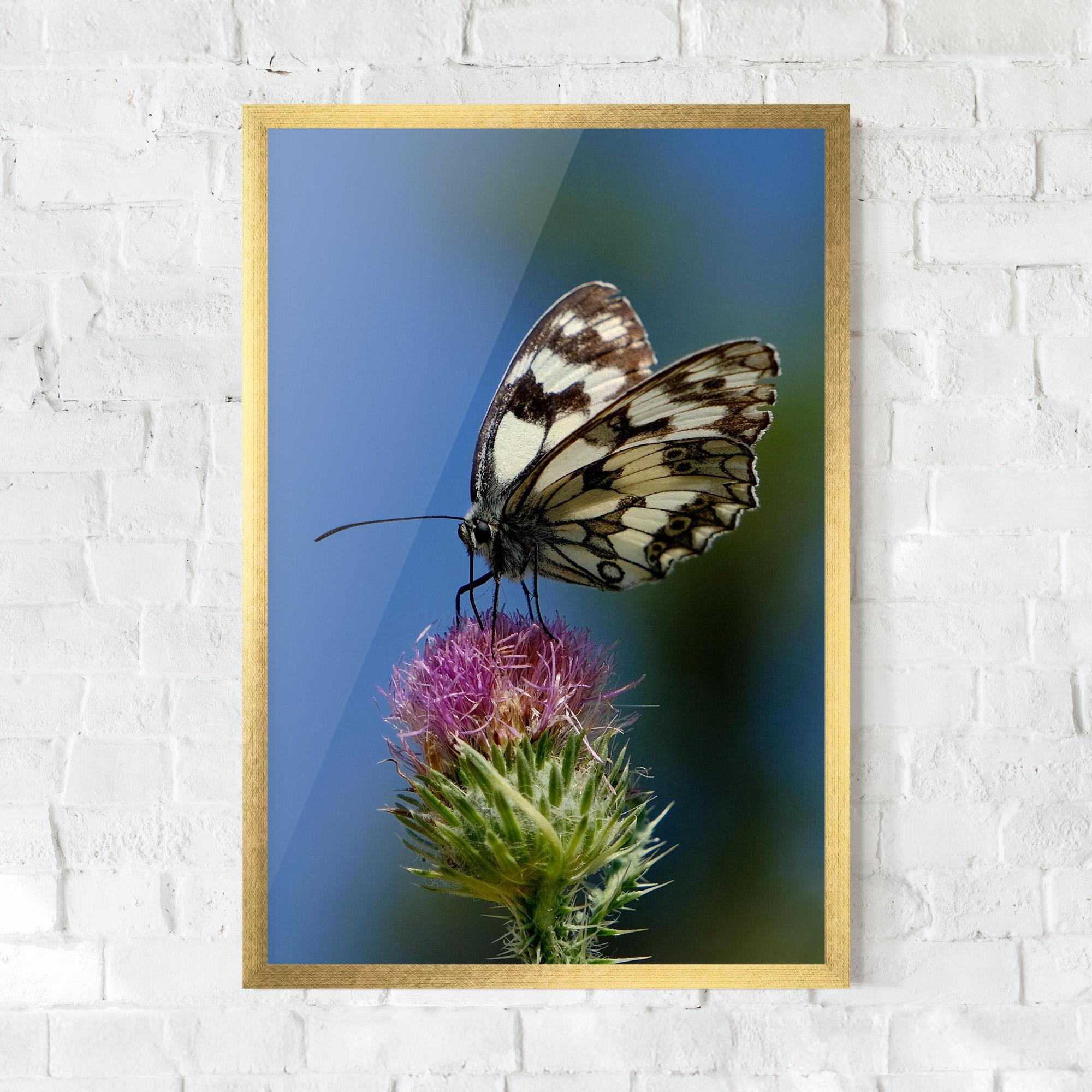 Poster Înrămat Grey White Butterfly mockup 0