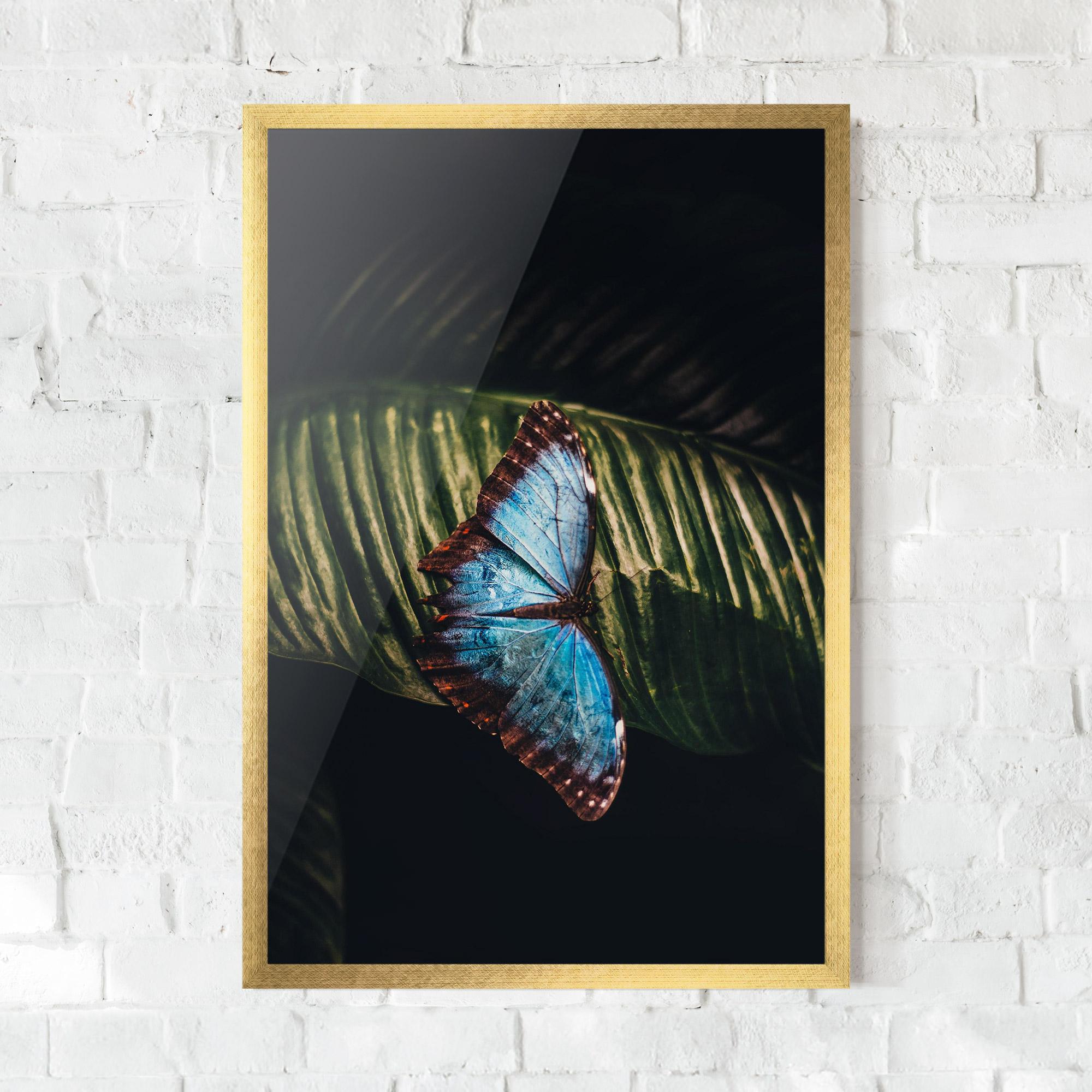 Poster Înrămat Light Blue Butterfly mockup 0