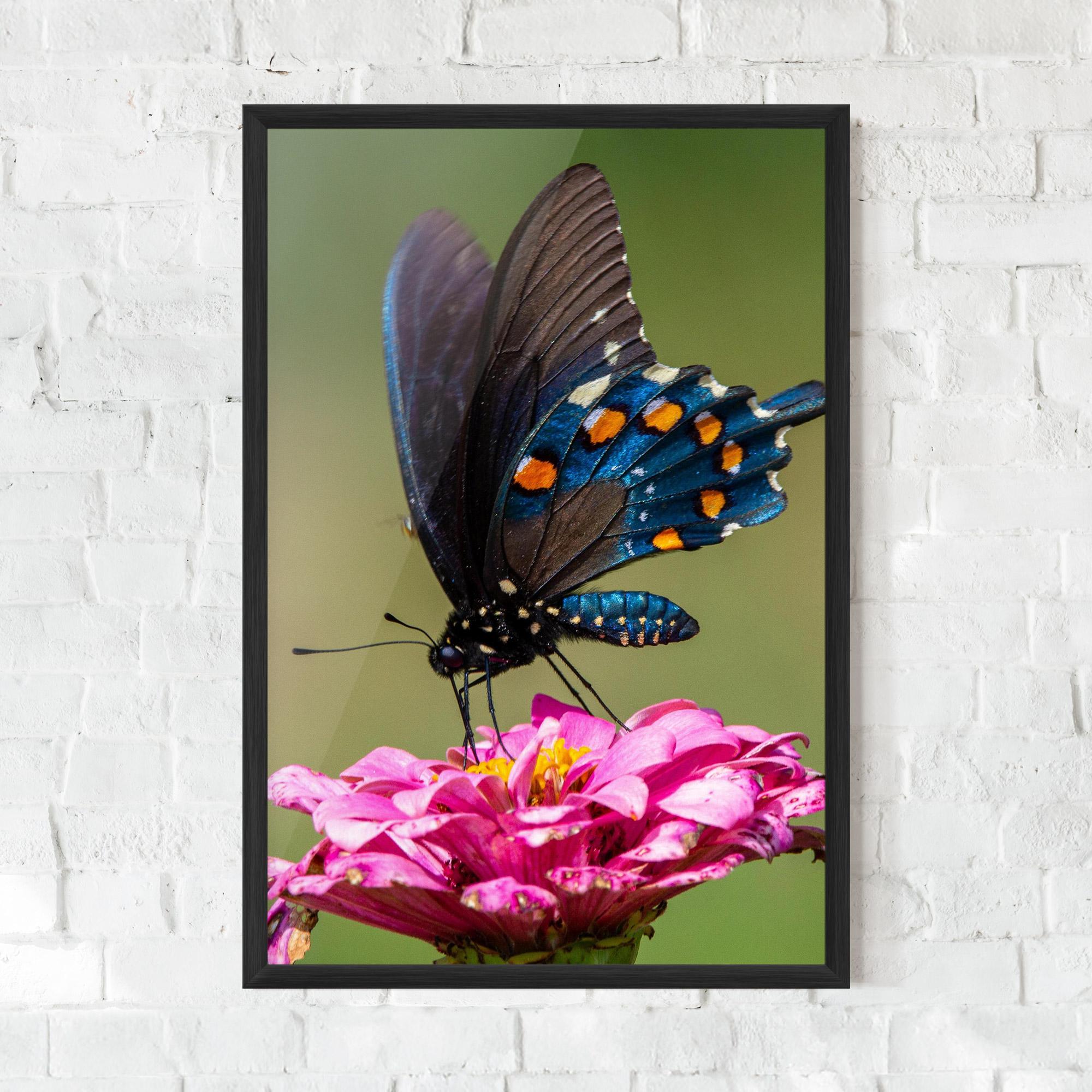 Poster Înrămat Blue Grey Butterfly mockup 0