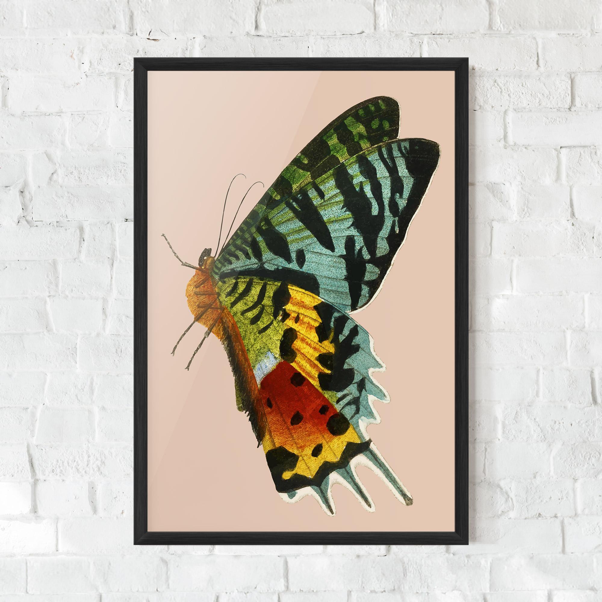 Poster Înrămat Butterfly On Pink mockup 0