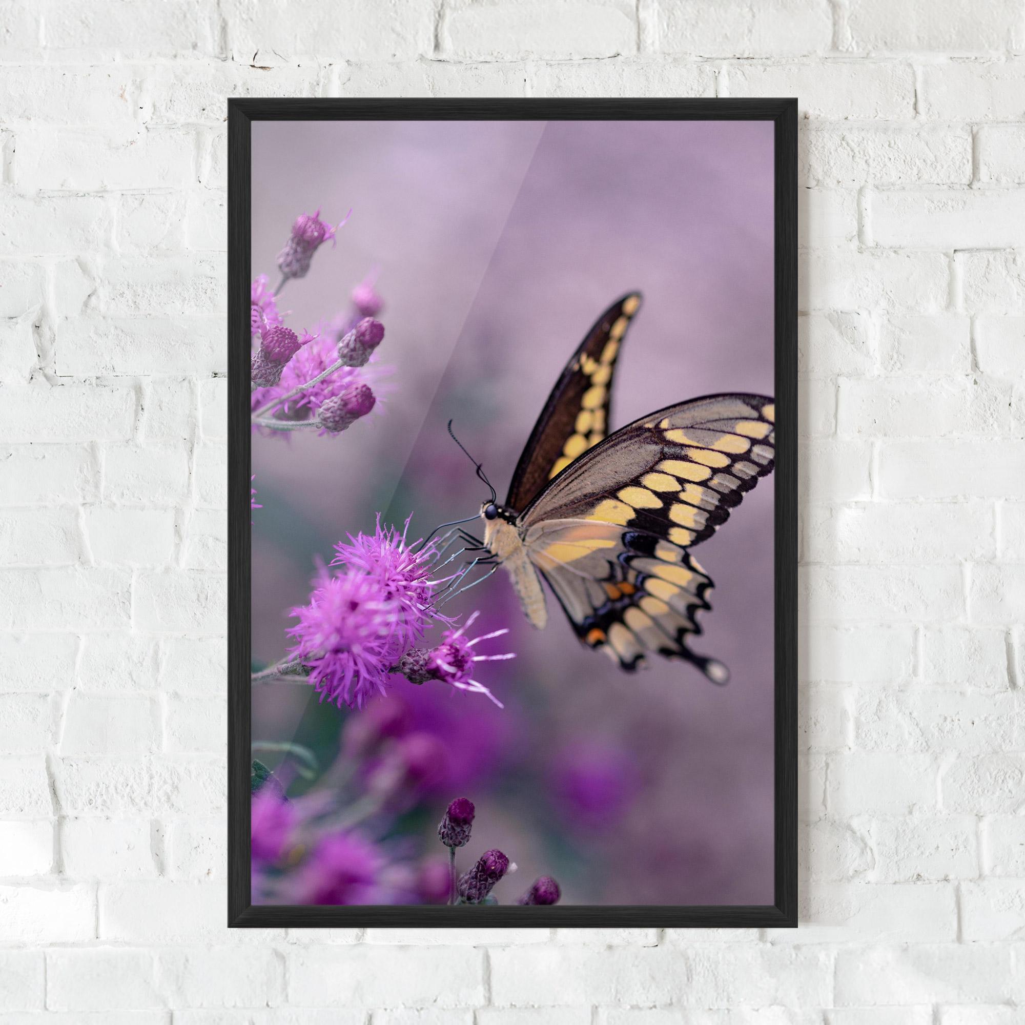 Poster Înrămat Cream Black Butterfly mockup 0