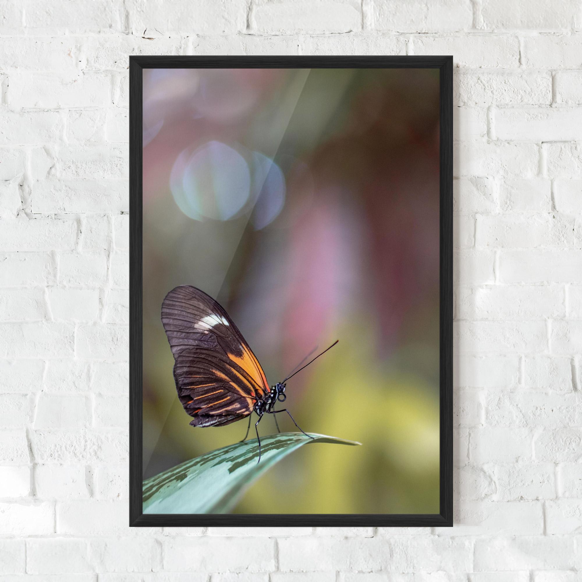 Poster Înrămat Dark Purple Butterfly mockup 0