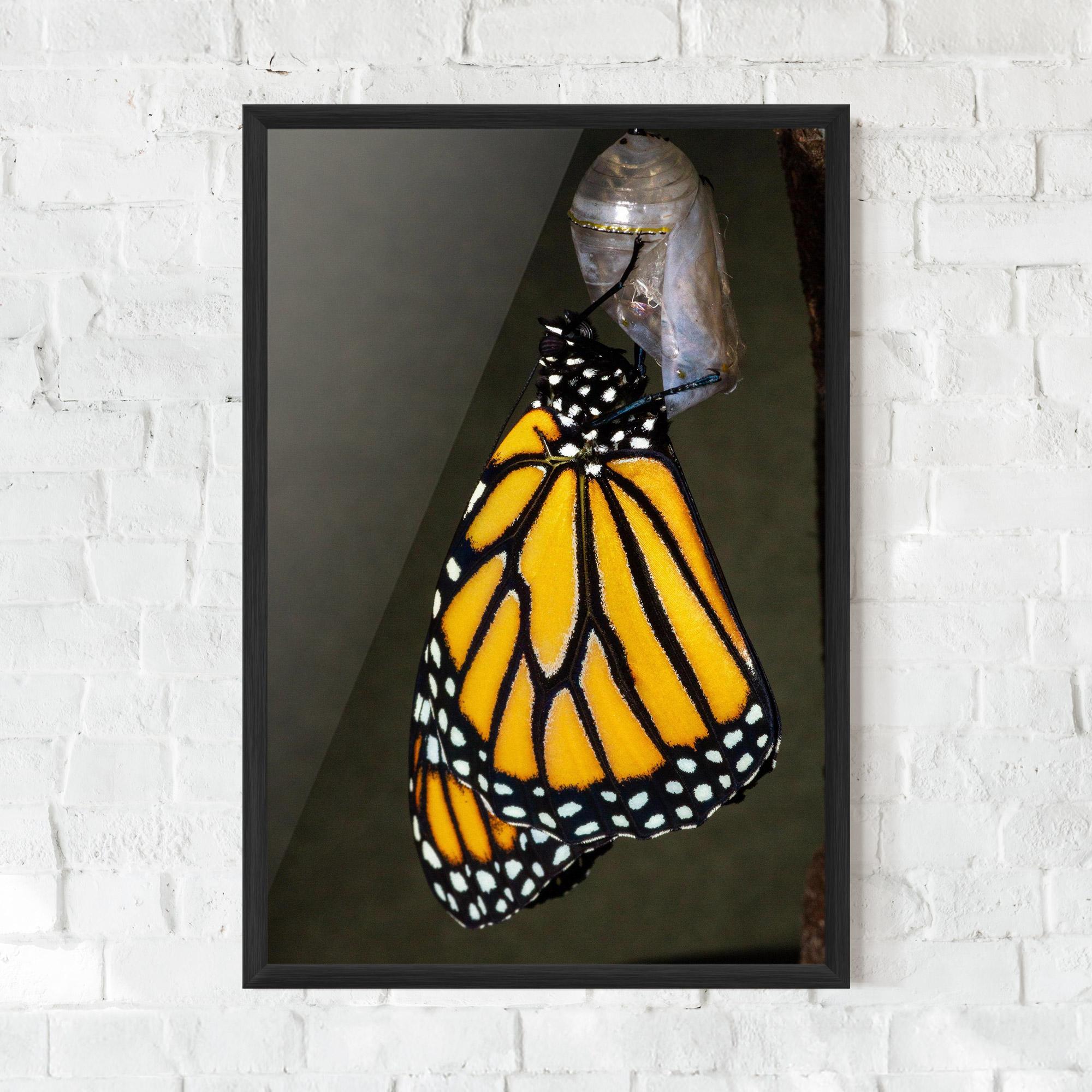 Poster Înrămat Dark Yellow Butterfly mockup 0