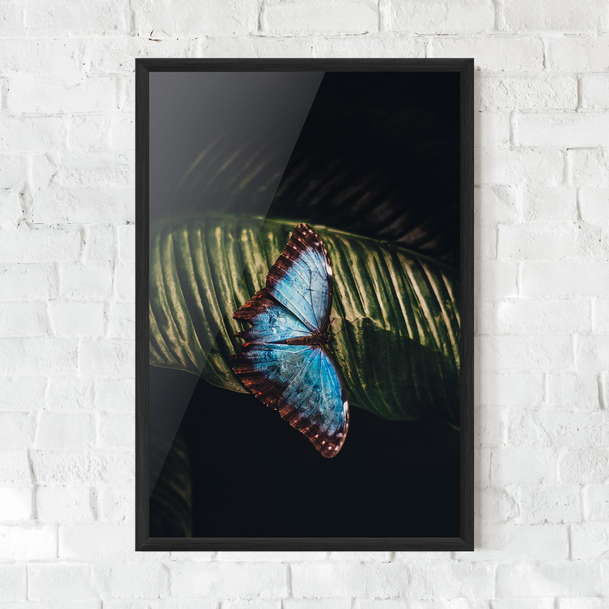 Poster Înrămat Light Blue Butterfly mockup 0