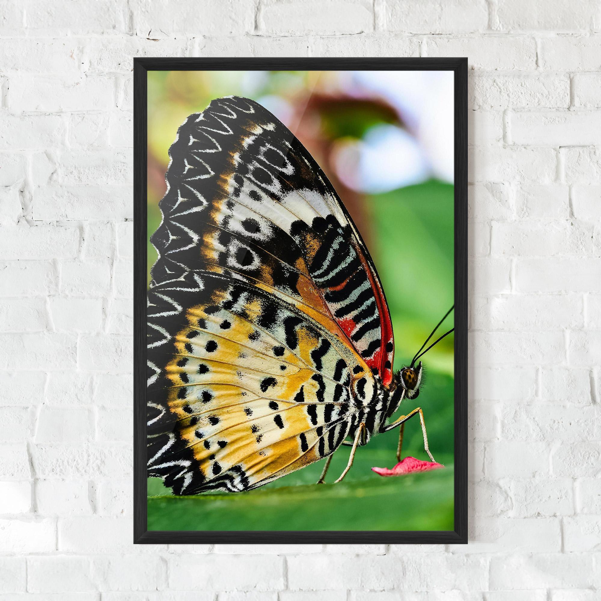 Poster Înrămat Pretty Colorful Butterfly mockup 0