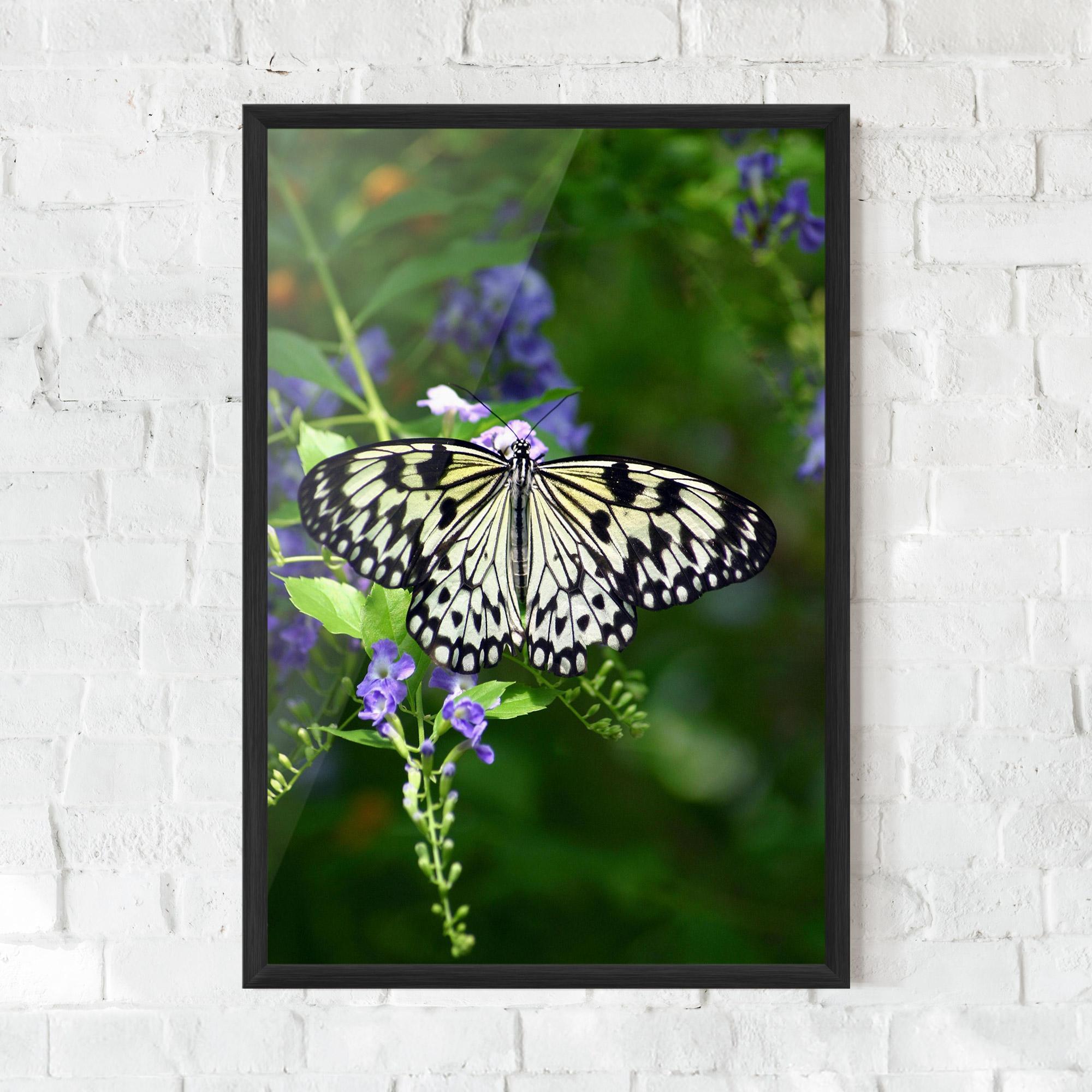 Poster Înrămat Pretty White Butterfly mockup 0