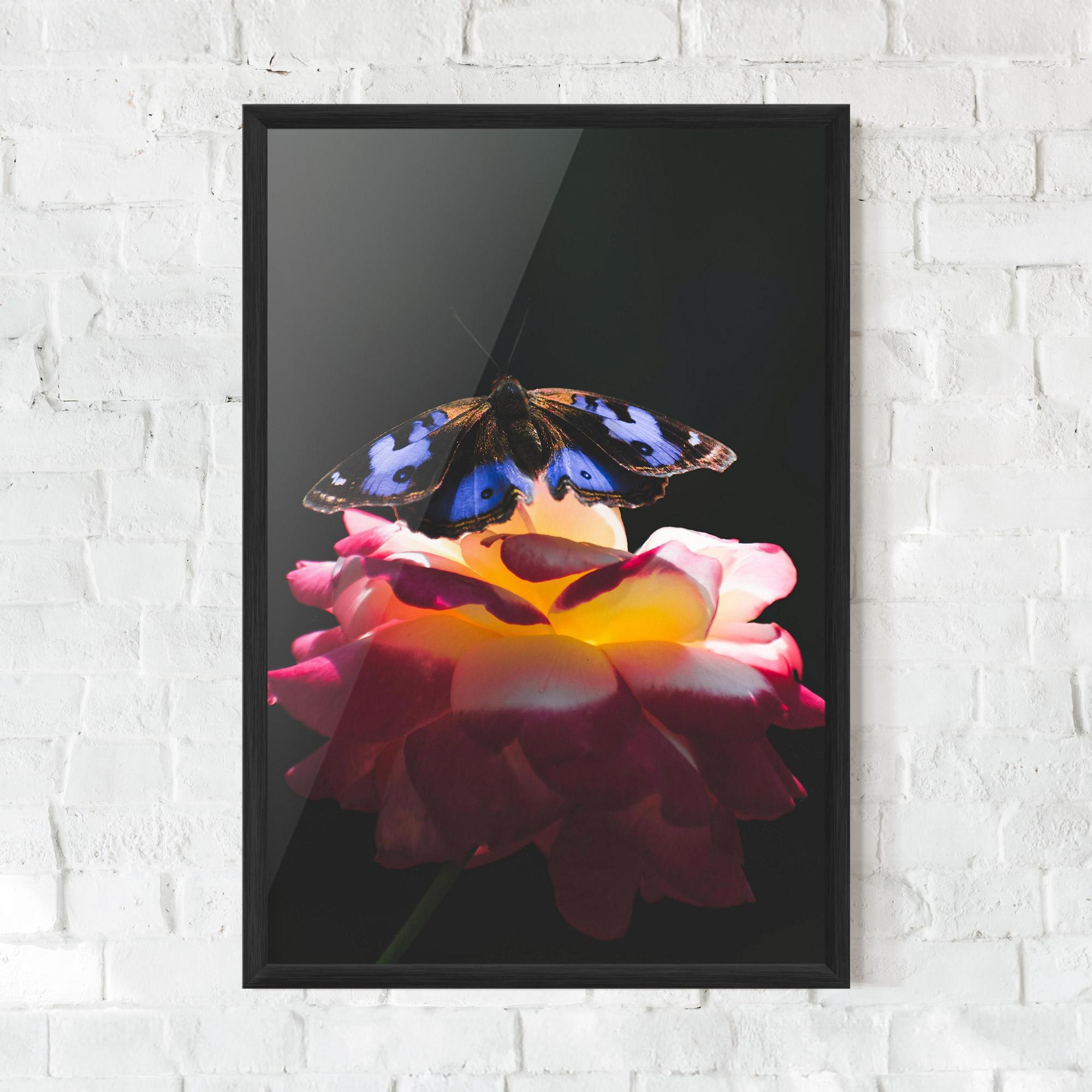 Poster Înrămat Rose Butterfly mockup 0