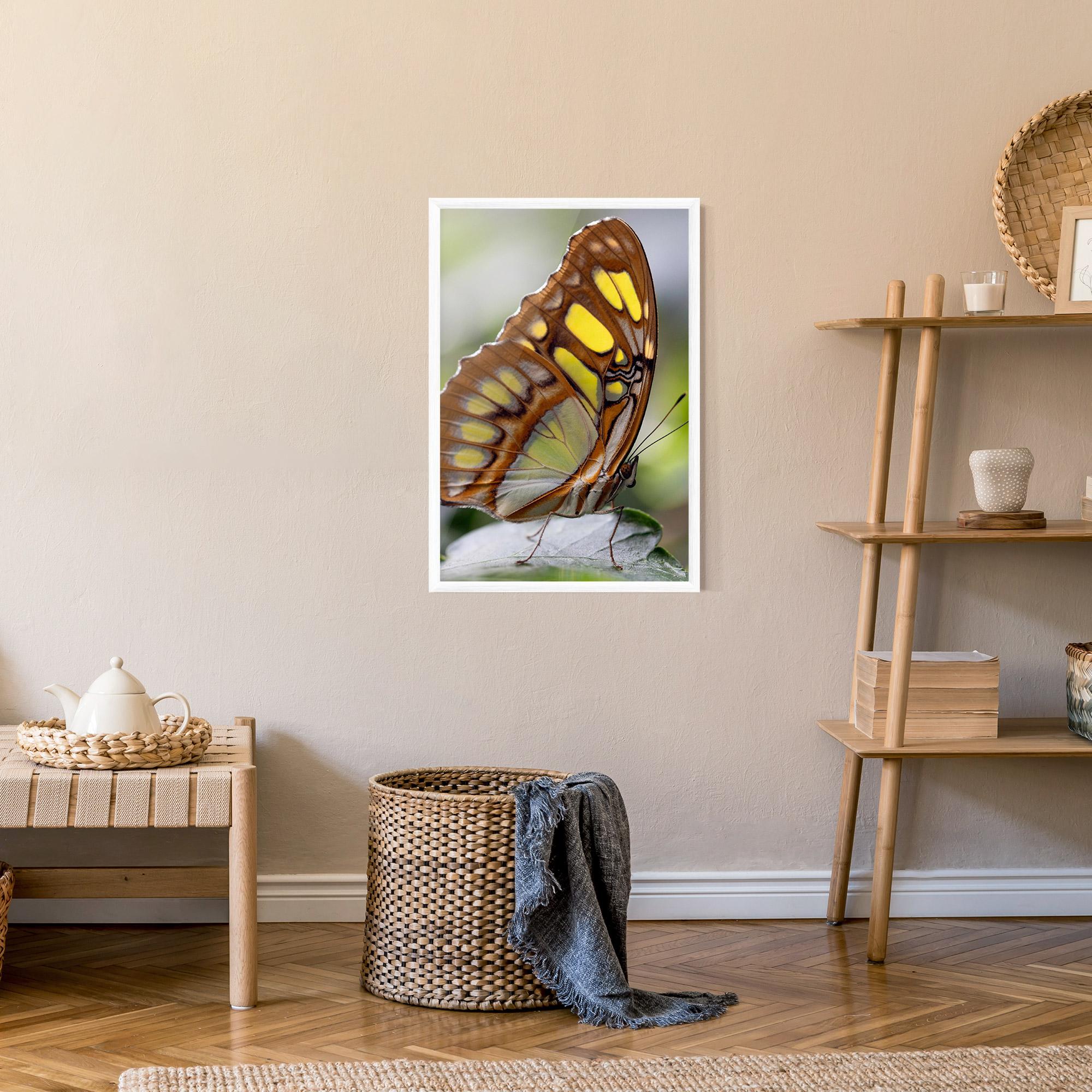 Poster Înrămat Brown Yellow Butterfly mockup 9