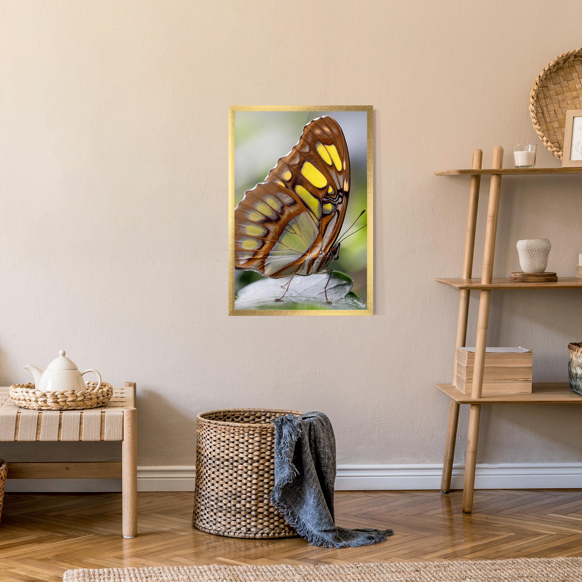 Poster Înrămat Brown Yellow Butterfly mockup 9