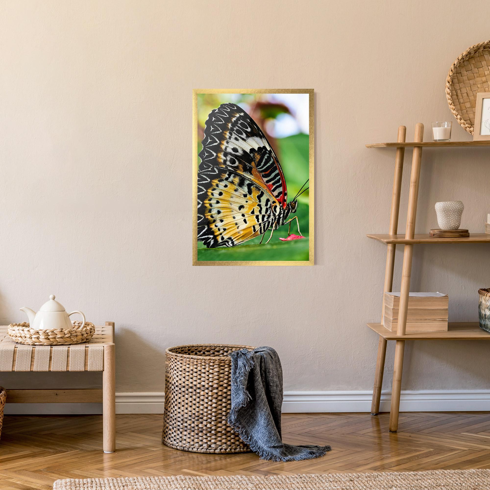 Poster Înrămat Pretty Colorful Butterfly mockup 9