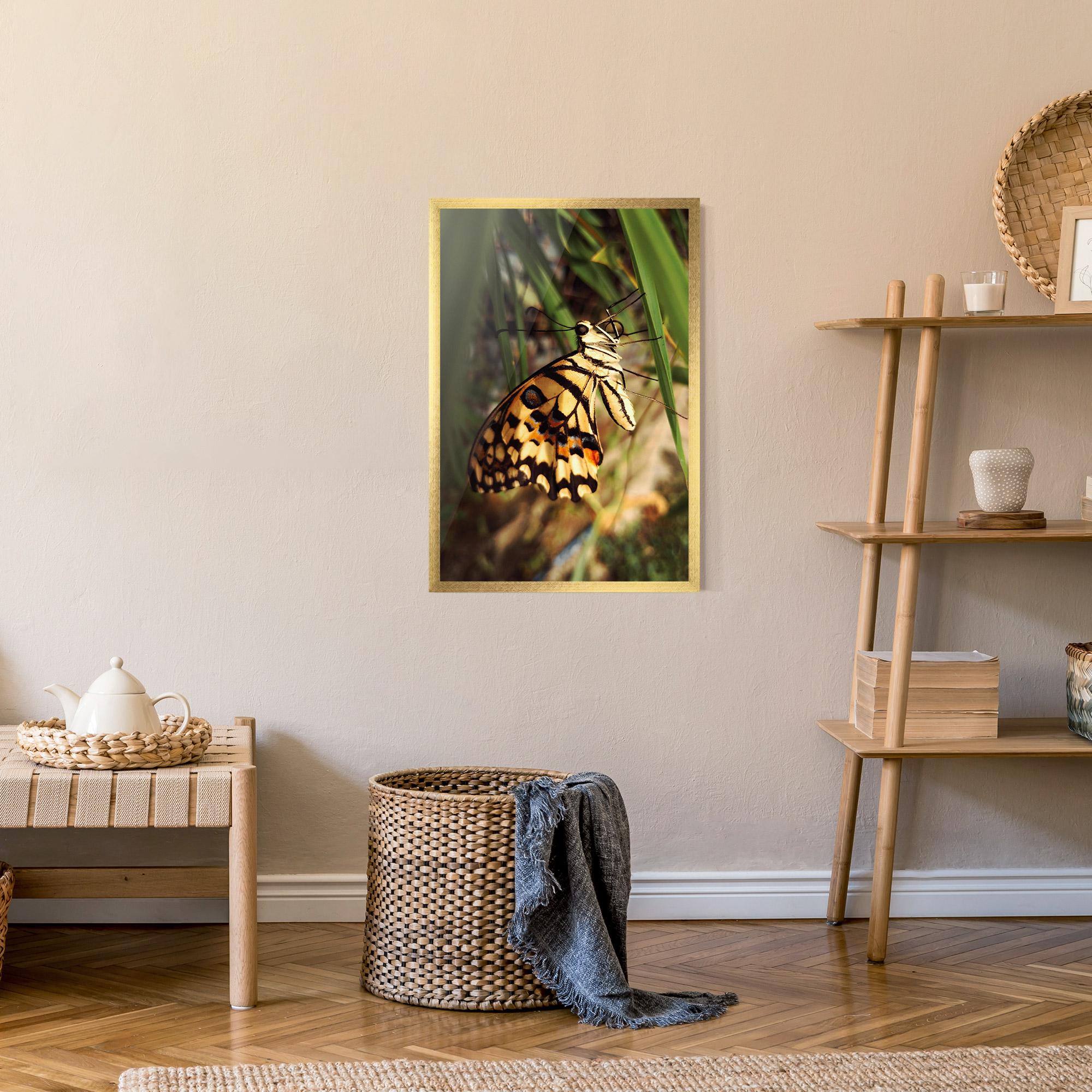 Poster Înrămat Wild Brown Butterfly mockup 9