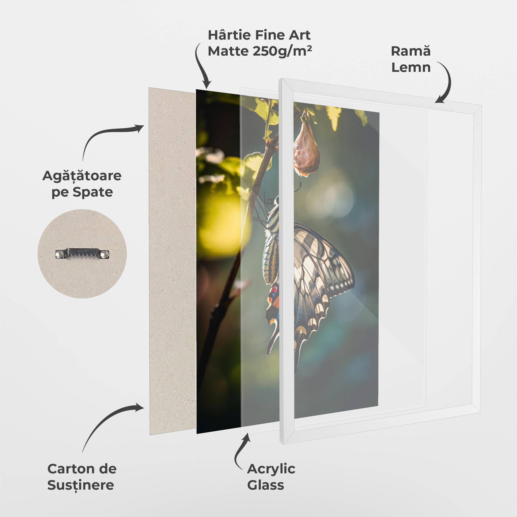 Poster Înrămat Blue Cream Butterfly mockup 1