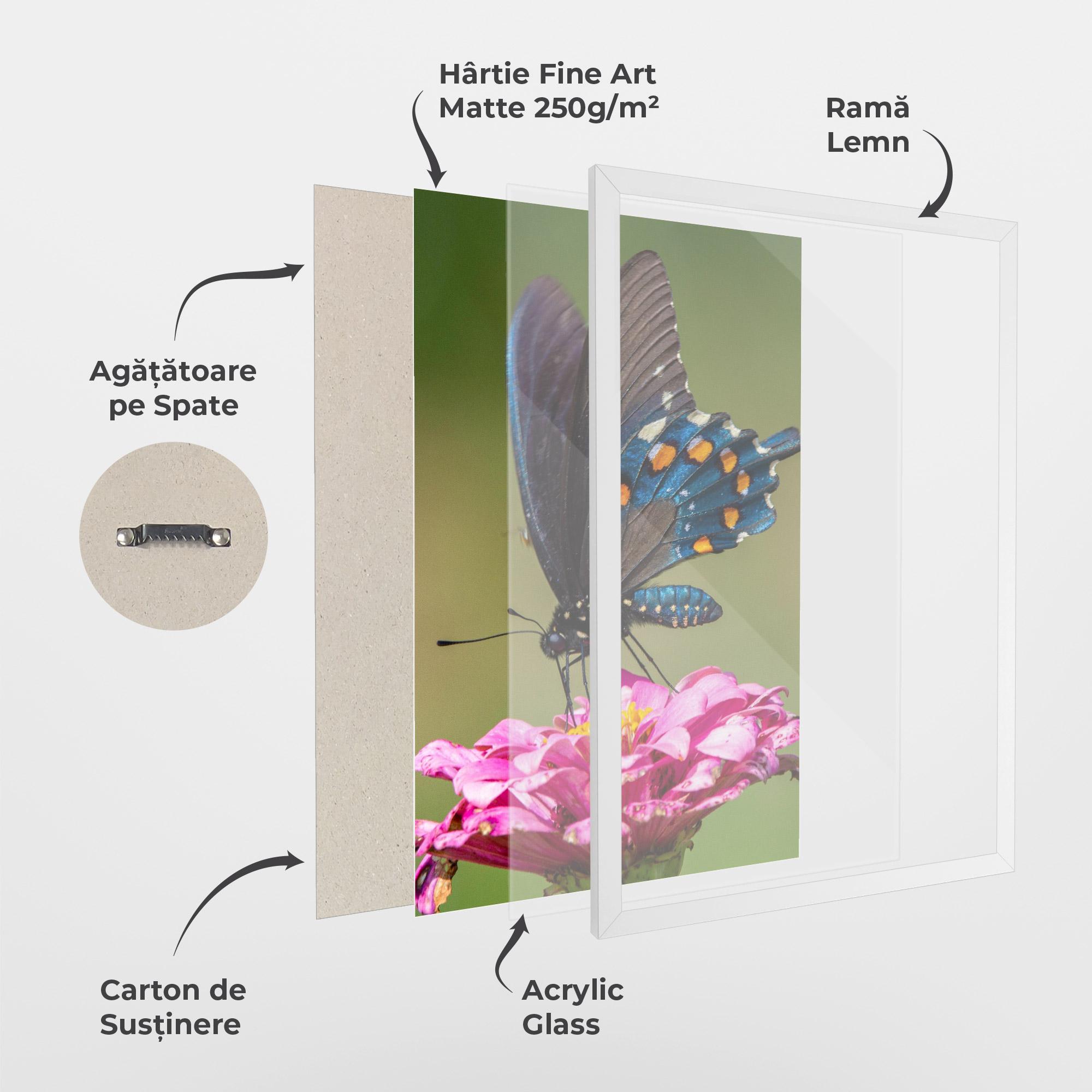 Poster Înrămat Blue Grey Butterfly mockup 1