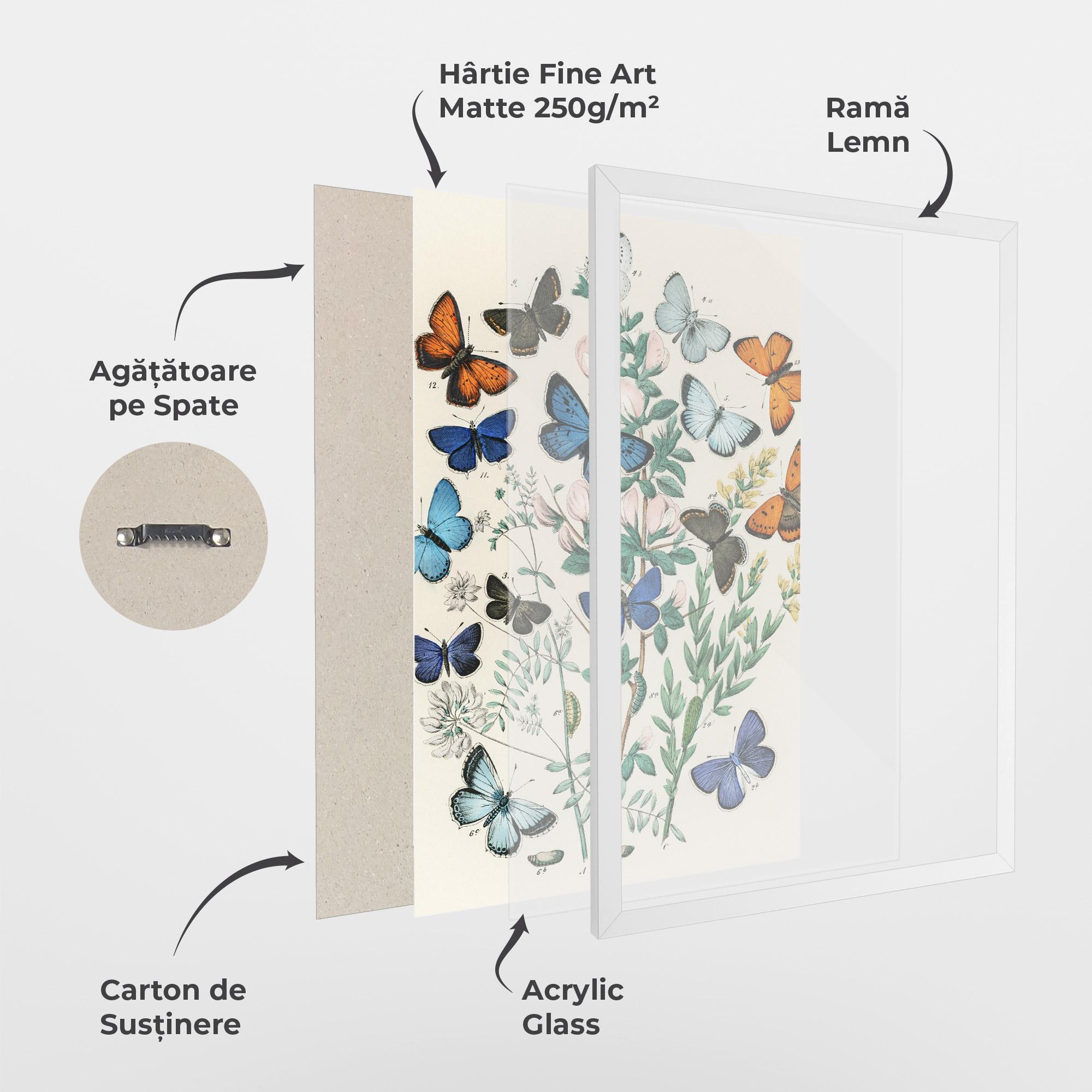 Poster Înrămat Blue Orange Butterflies mockup 1