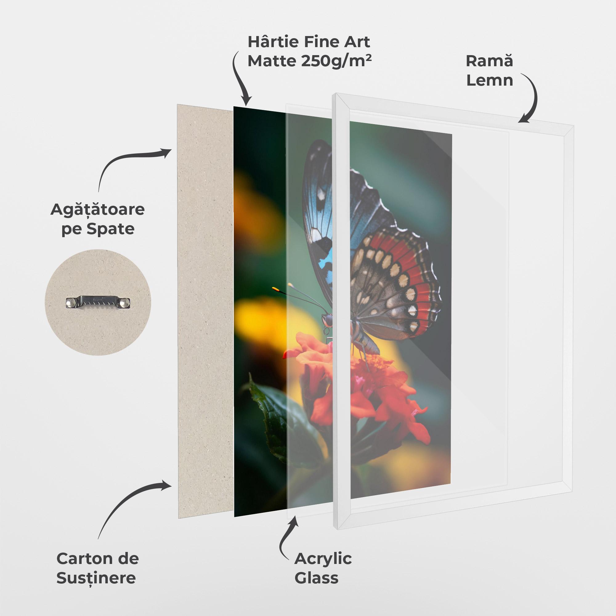 Poster Înrămat Blue Red Butterfly mockup 1