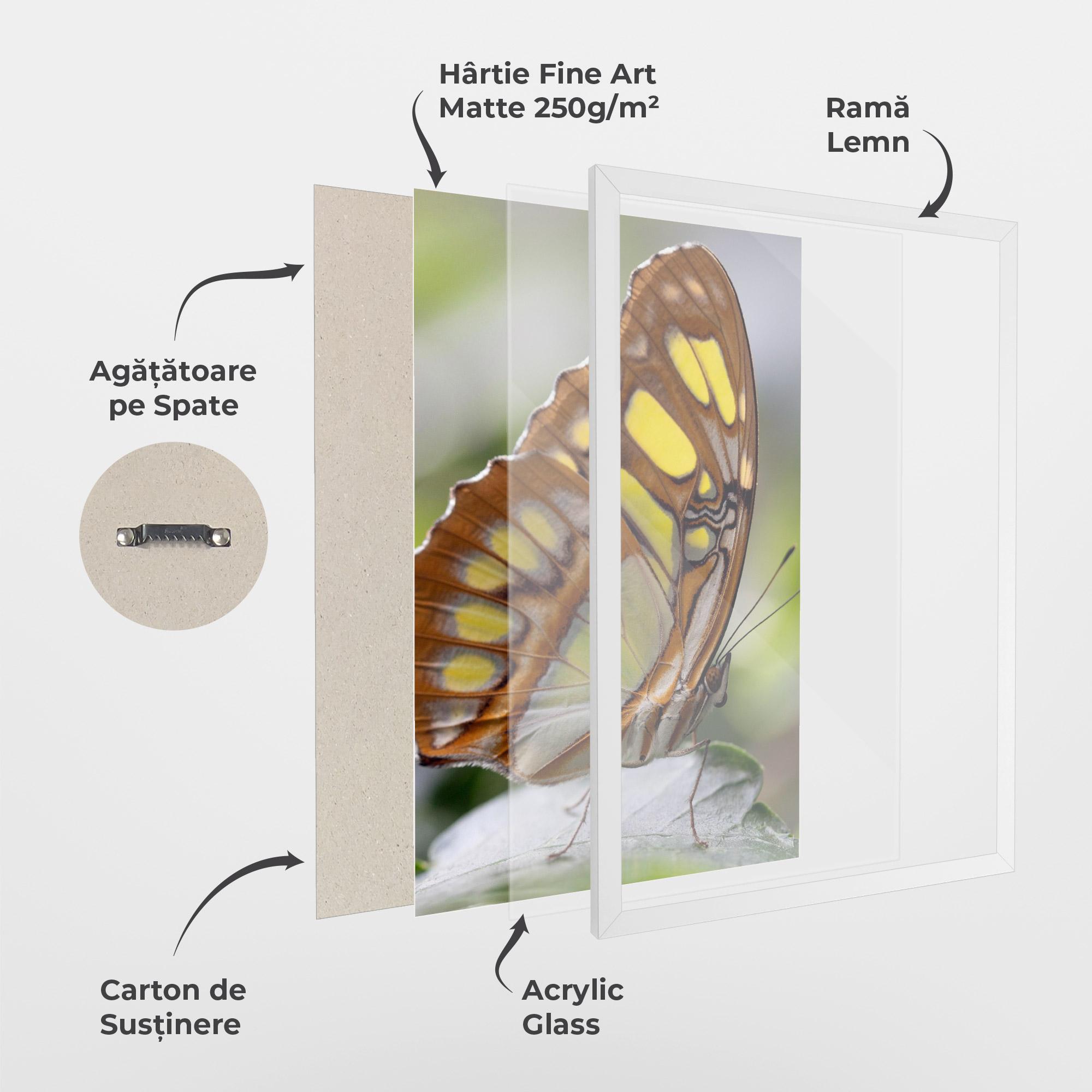 Poster Înrămat Brown Yellow Butterfly mockup 1