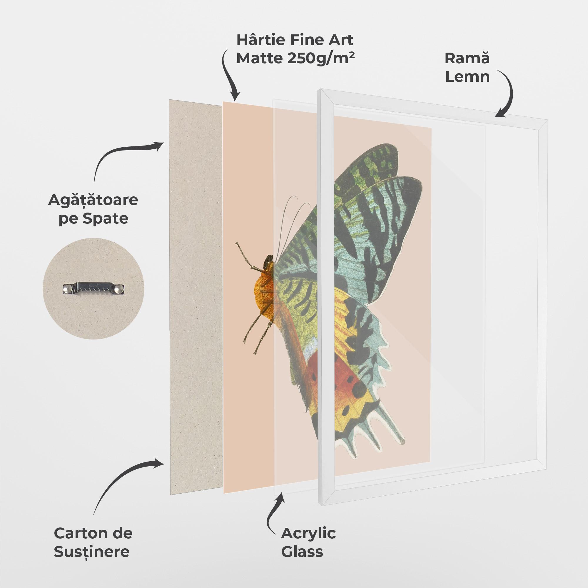 Poster Înrămat Butterfly On Pink mockup 1