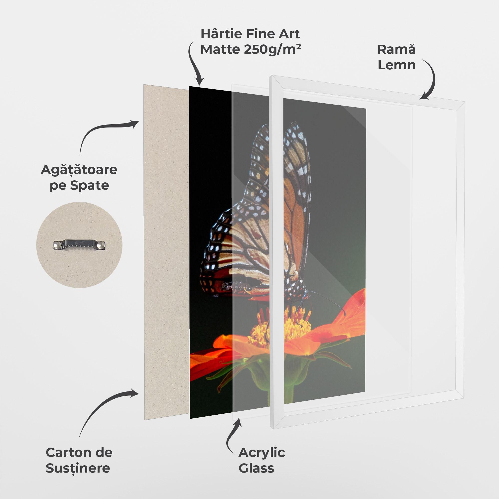 Poster Înrămat Dark Orange Butterfy mockup 1