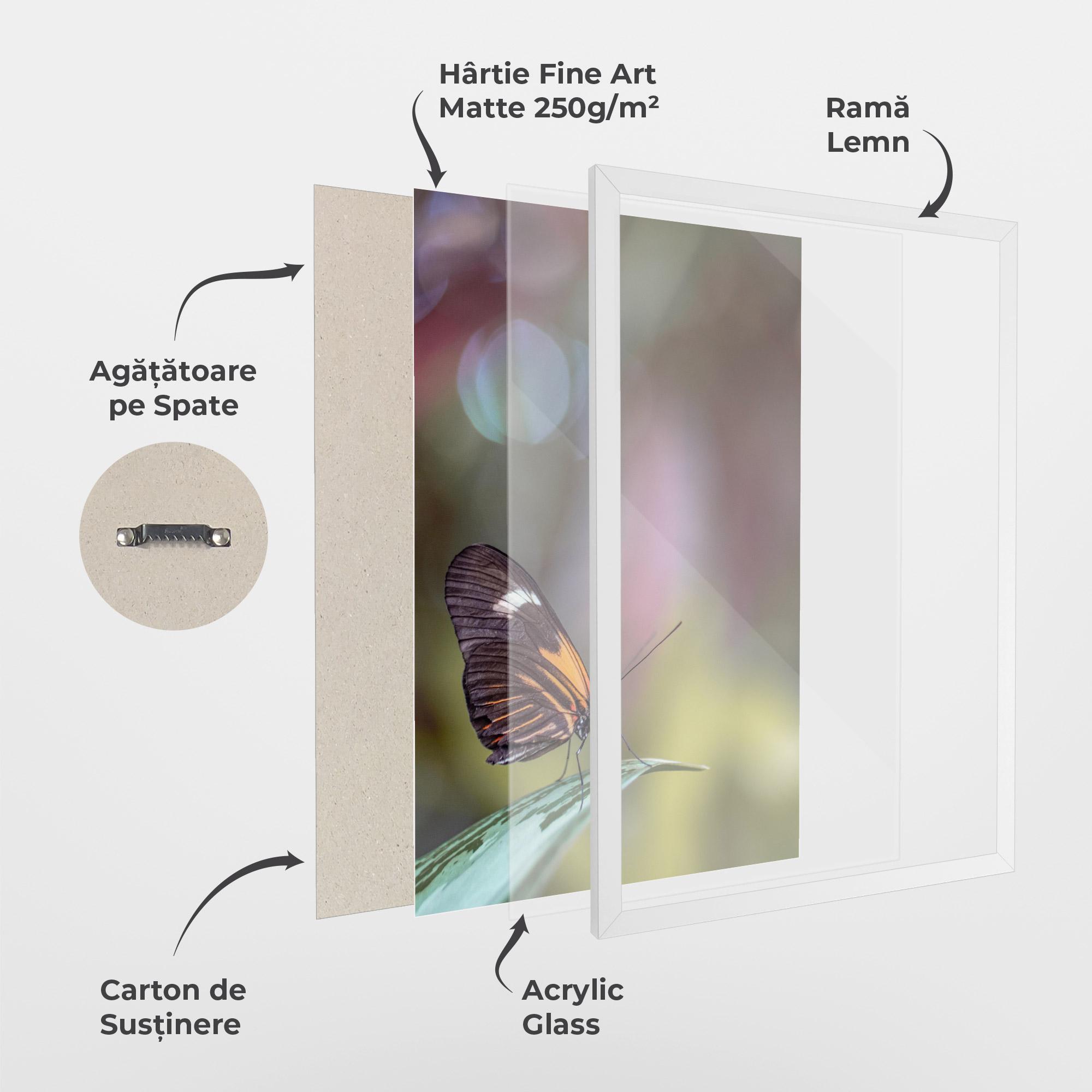 Poster Înrămat Dark Purple Butterfly mockup 1