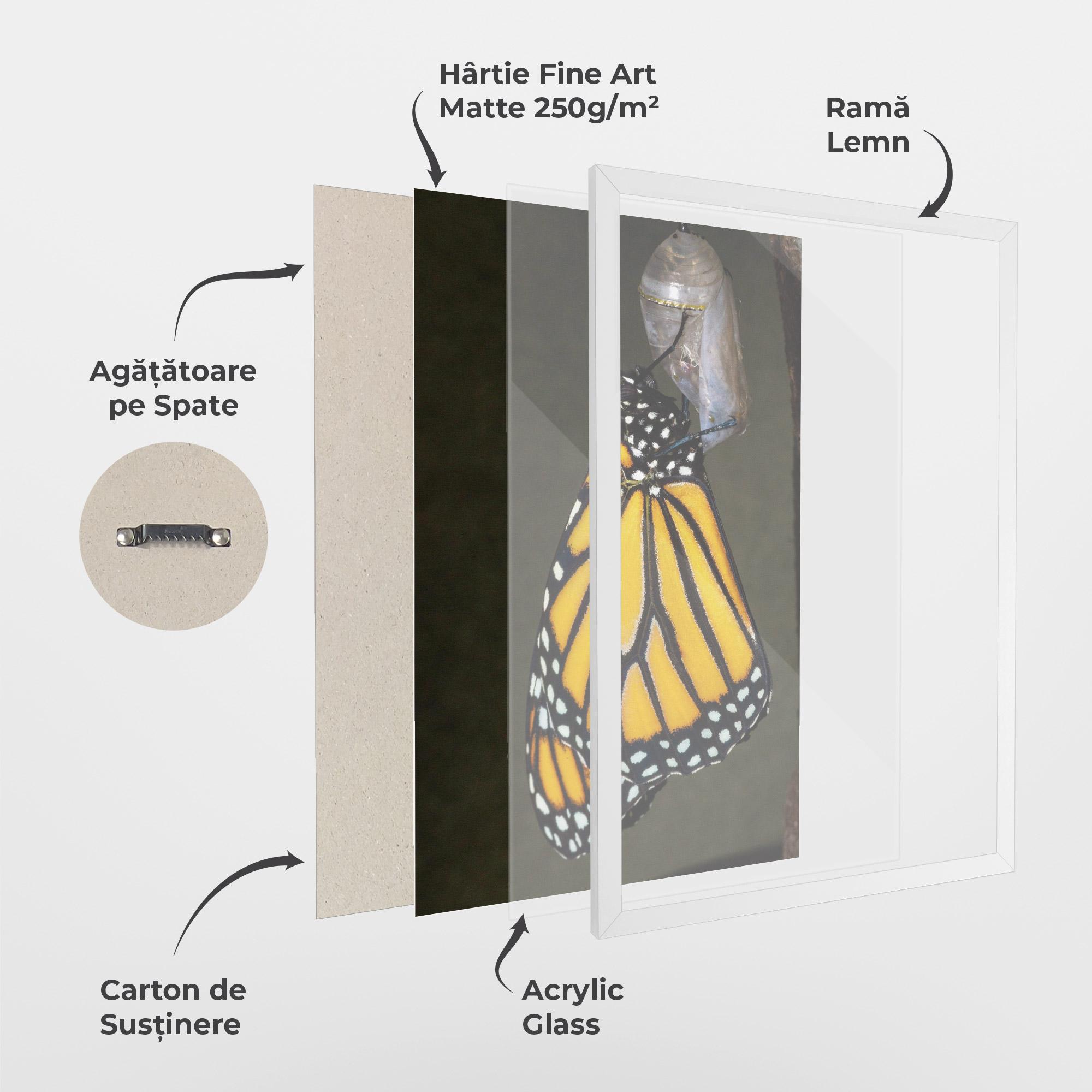 Poster Înrămat Dark Yellow Butterfly mockup 1