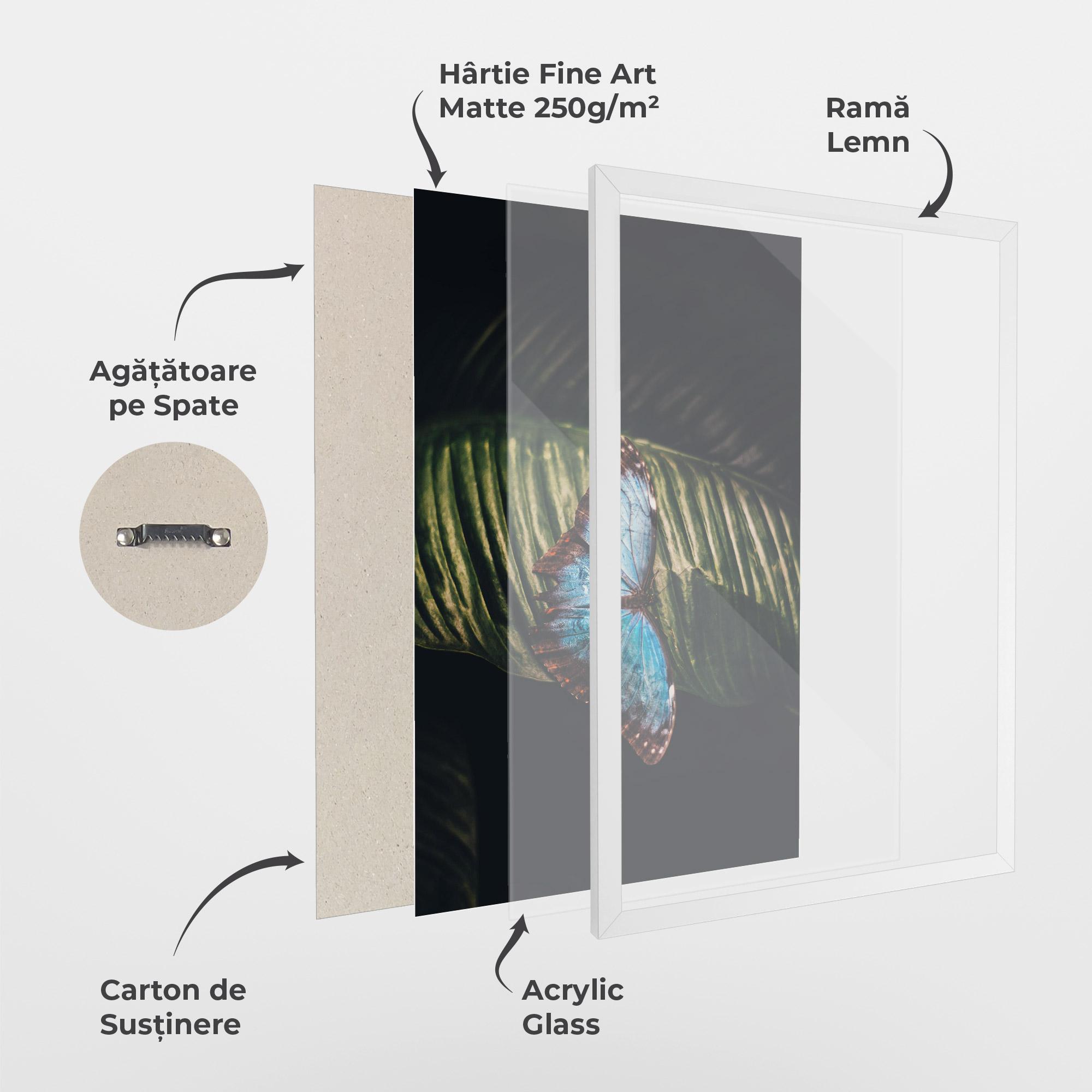 Poster Înrămat Light Blue Butterfly mockup 1