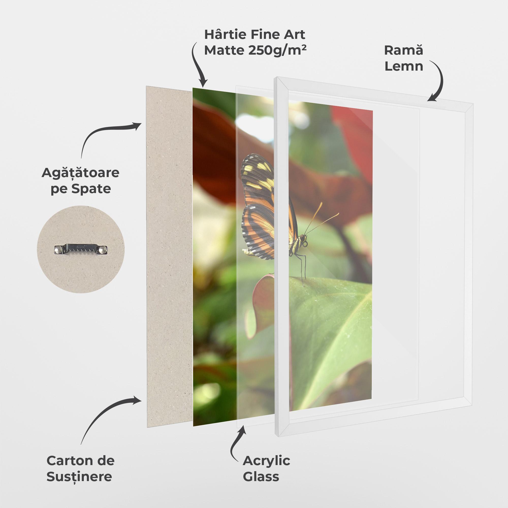 Poster Înrămat Orange Yellow Butterfly mockup 1