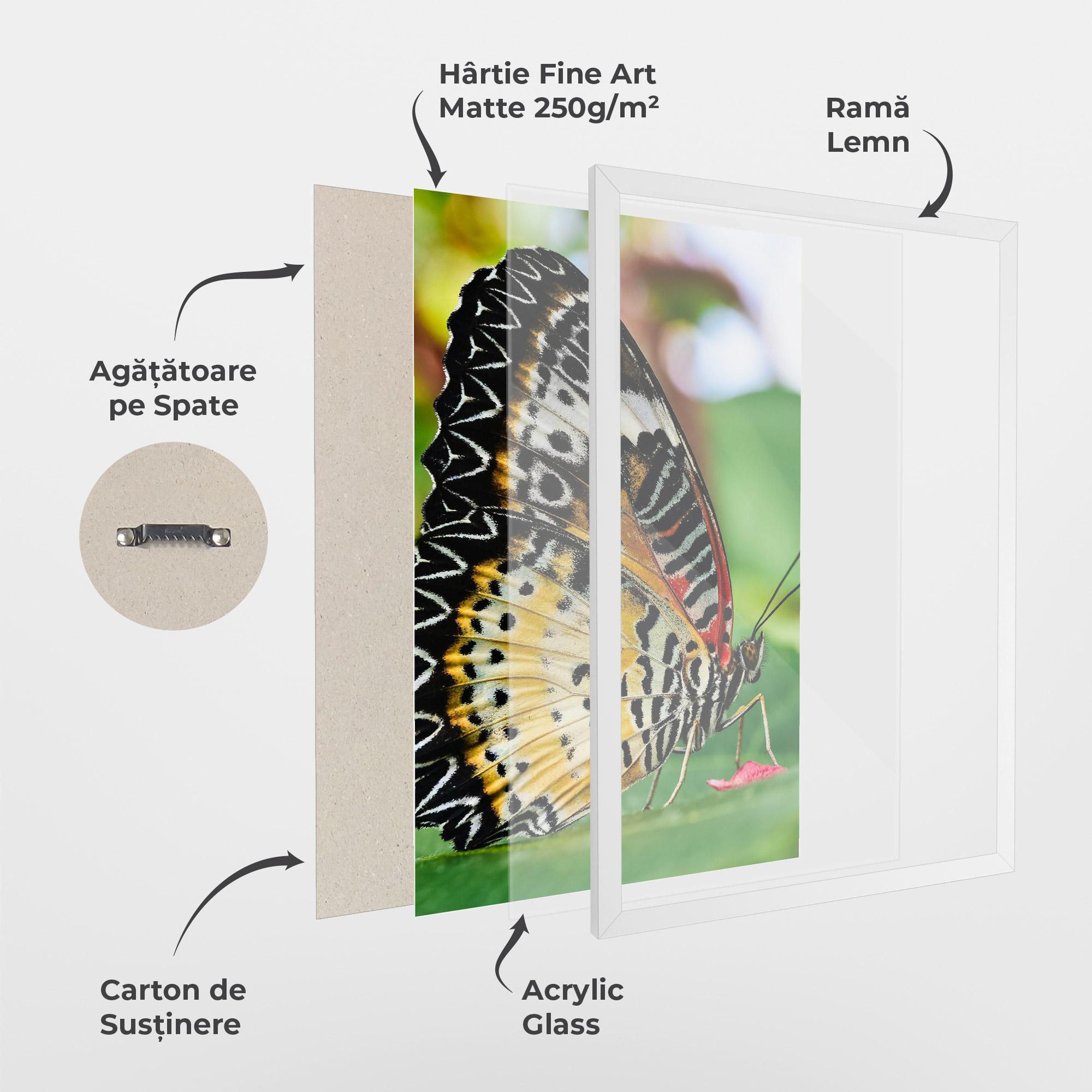 Poster Înrămat Pretty Colorful Butterfly mockup 1
