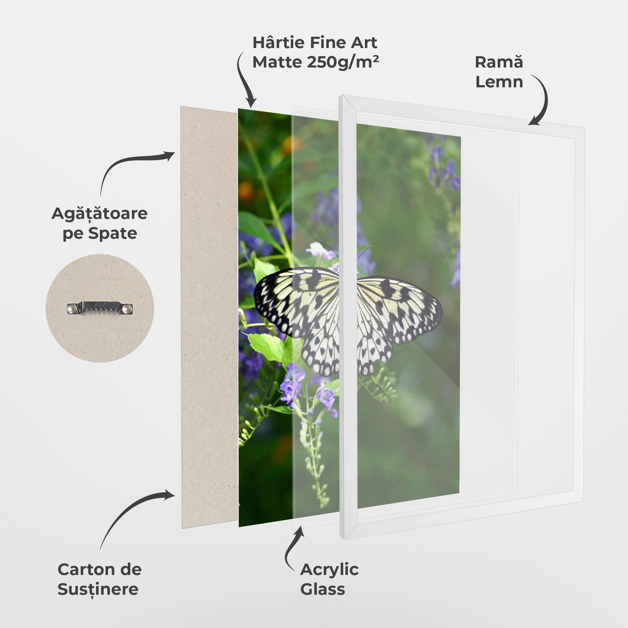 Poster Înrămat Pretty White Butterfly mockup 1