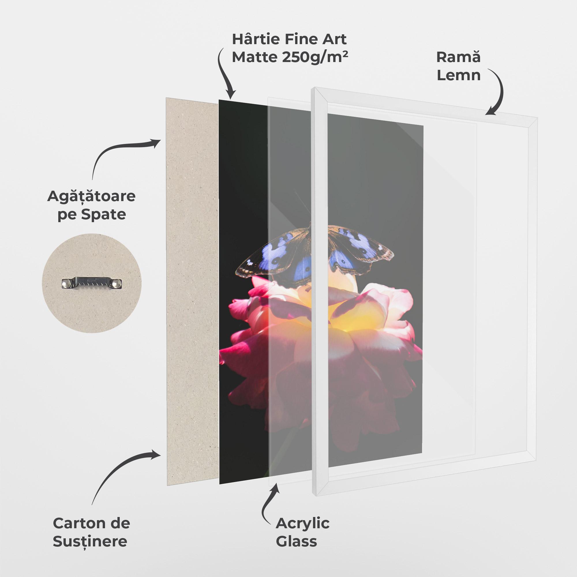 Poster Înrămat Rose Butterfly mockup 1