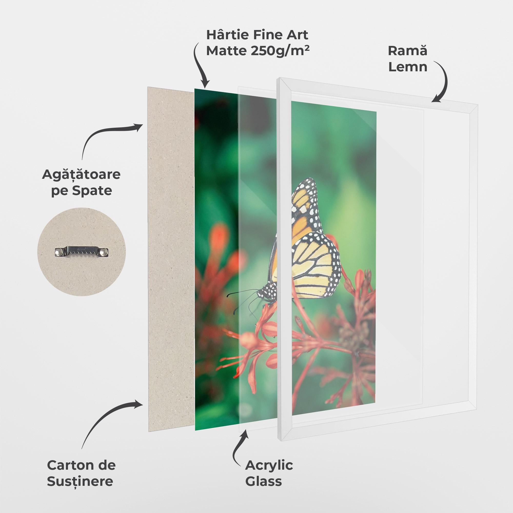 Poster Înrămat Small Orange Butterfly mockup 1