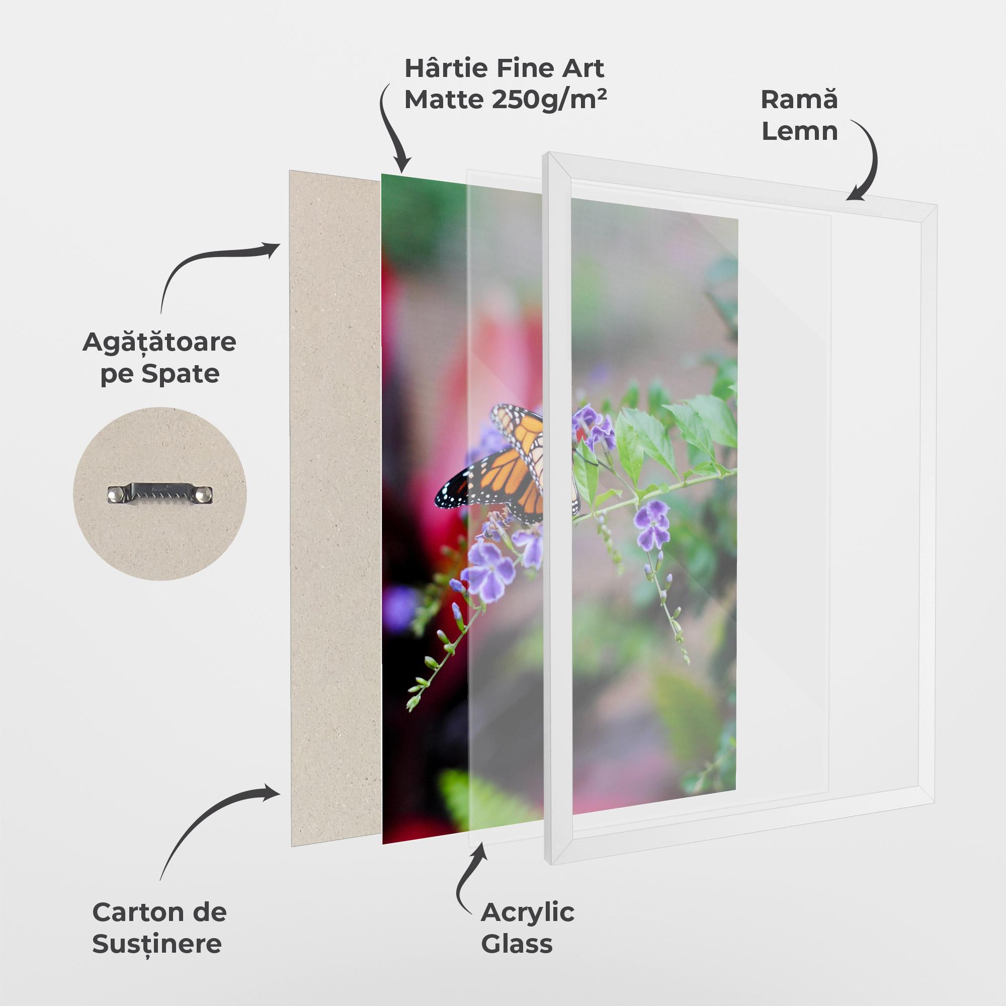 Poster Înrămat Strong Orange Butterfly mockup 1