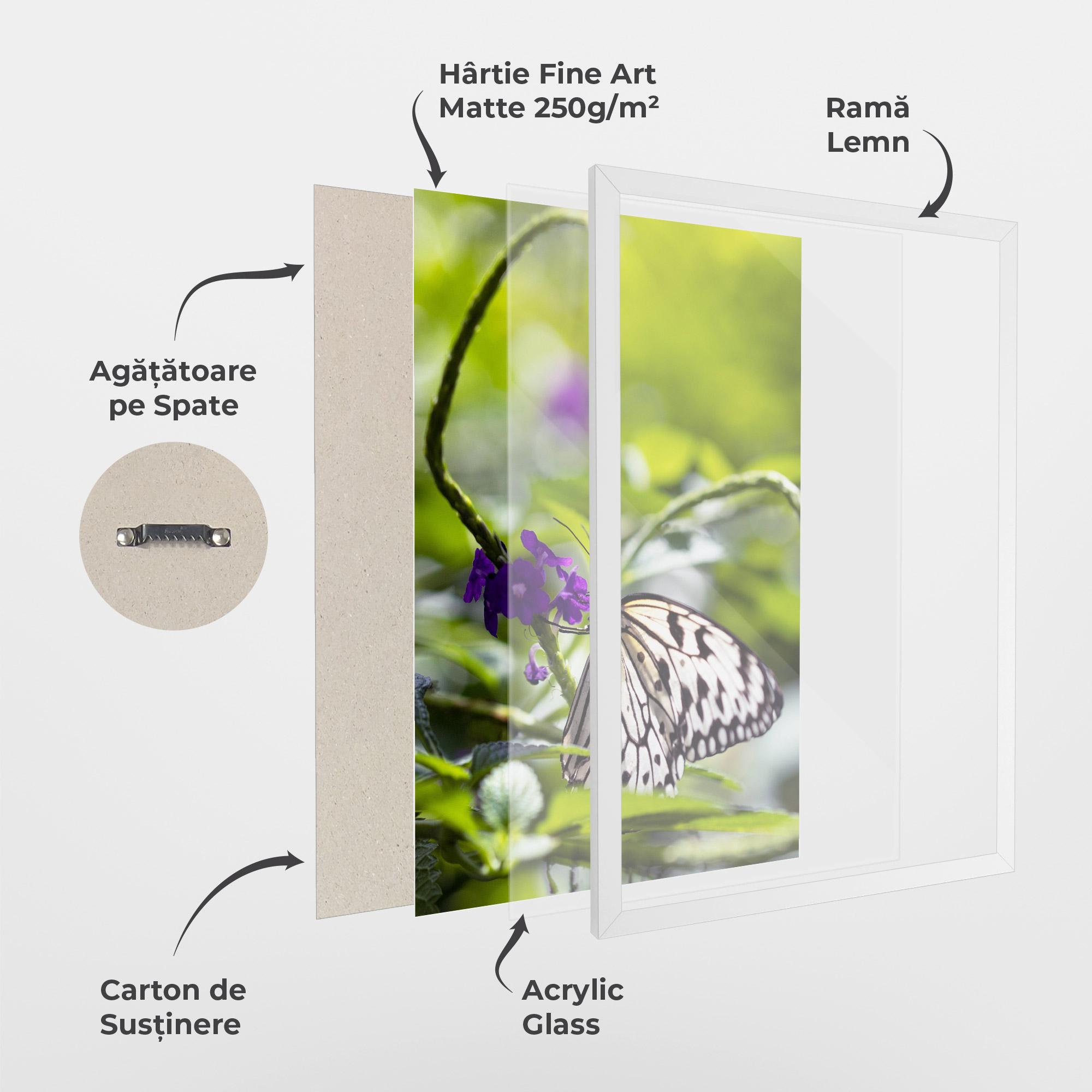 Poster Înrămat White Black Butterfly mockup 1