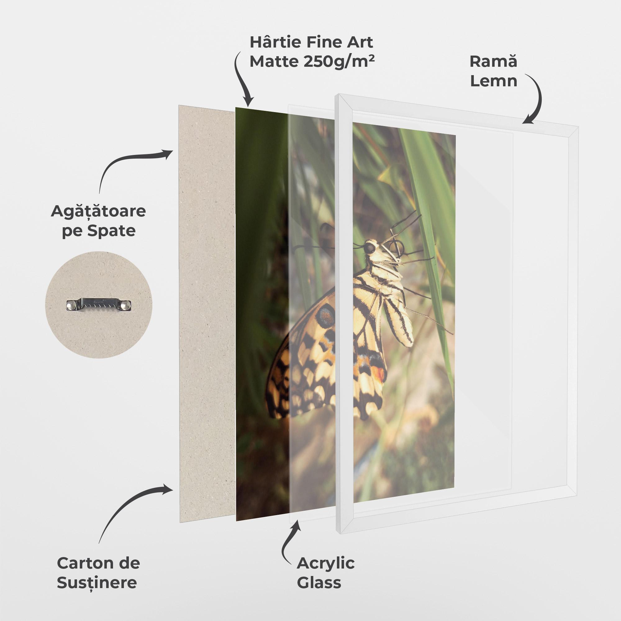 Poster Înrămat Wild Brown Butterfly mockup 1