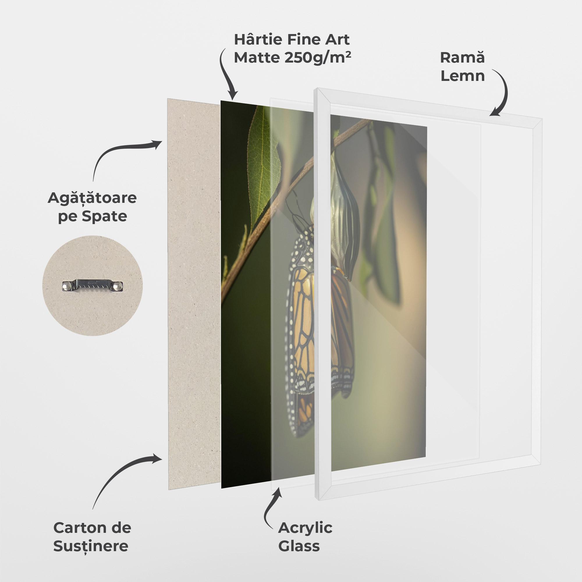 Poster Înrămat Yellow Black Butterfly mockup 1