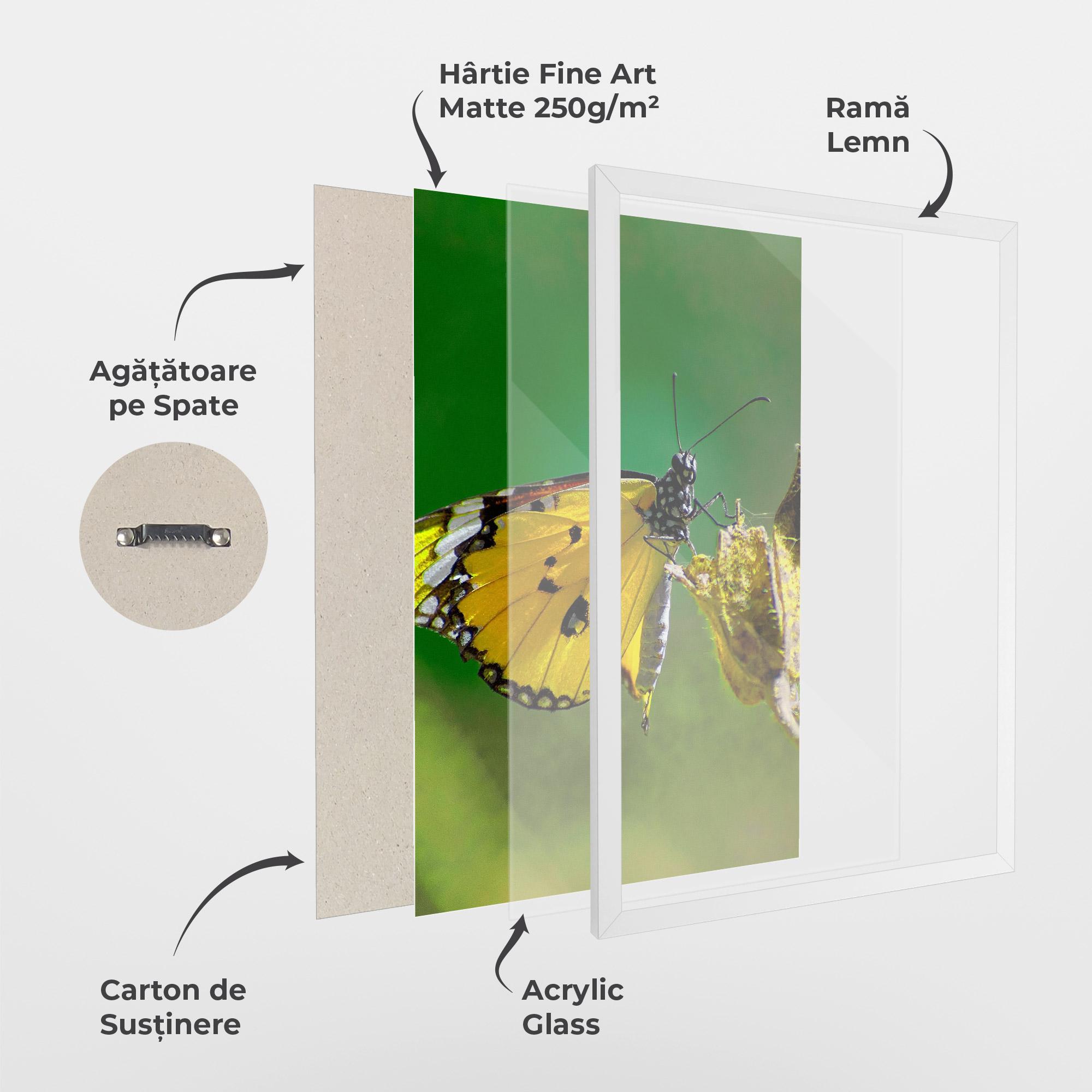 Poster Înrămat Yellow White Butterfly mockup 1