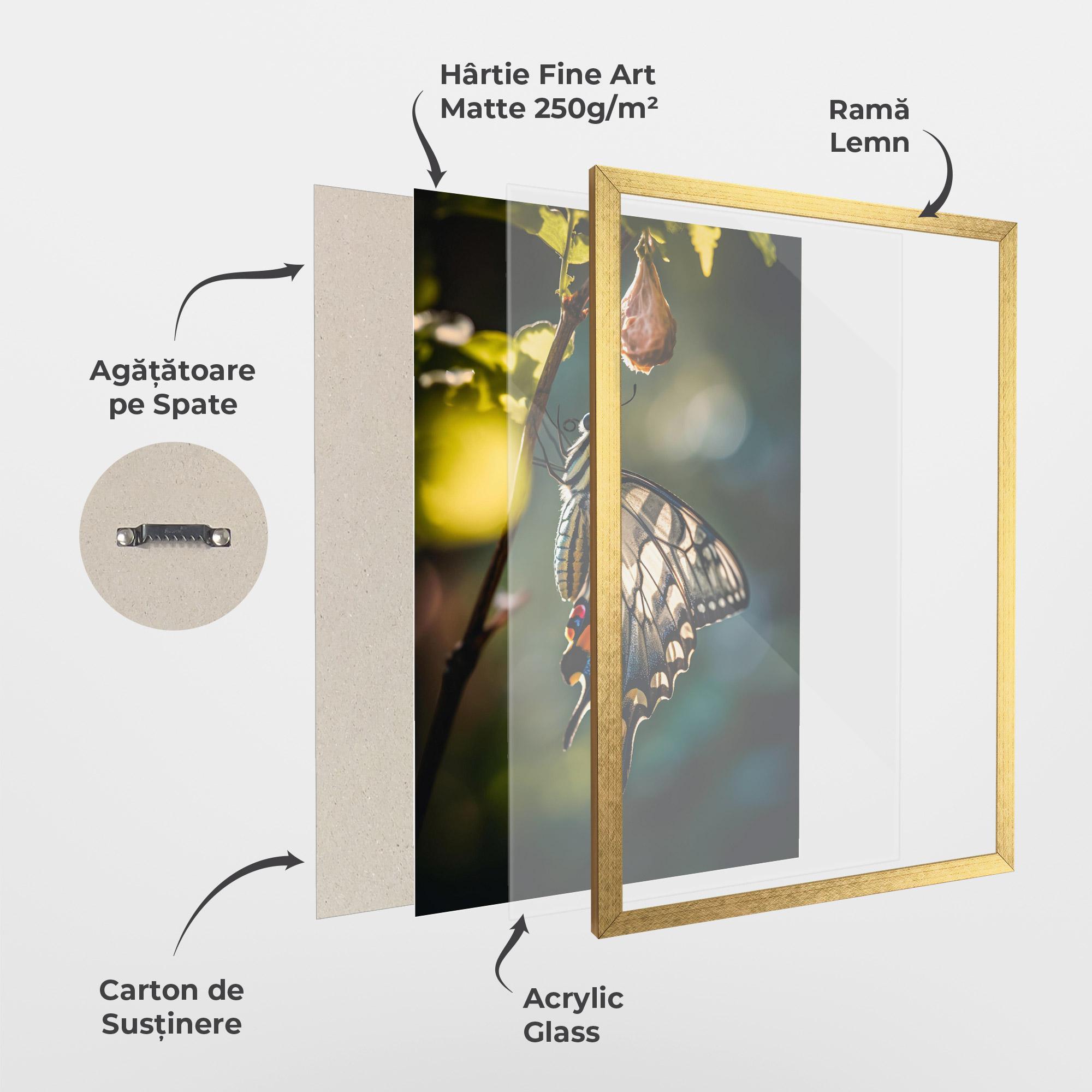 Poster Înrămat Blue Cream Butterfly mockup 1