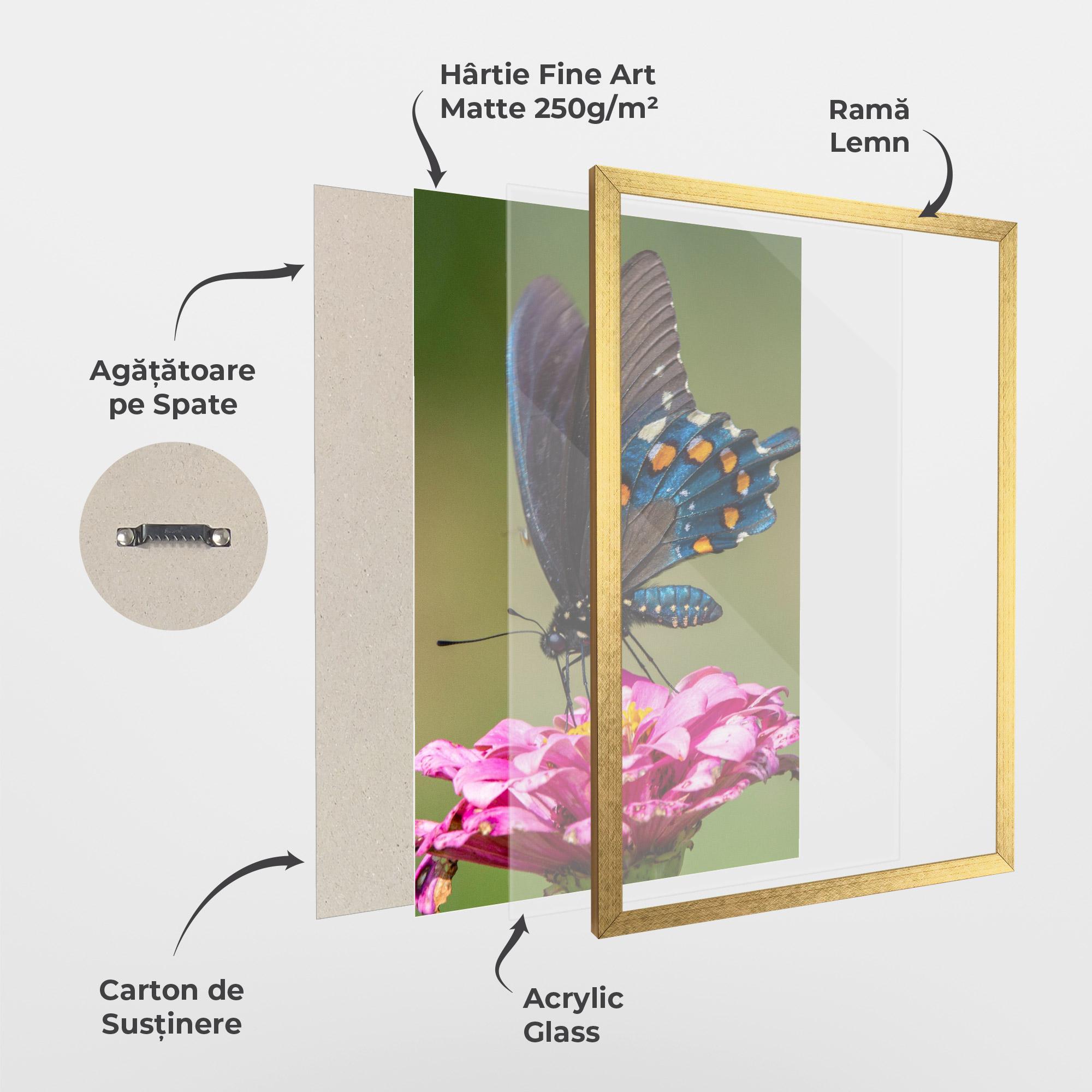 Poster Înrămat Blue Grey Butterfly mockup 1