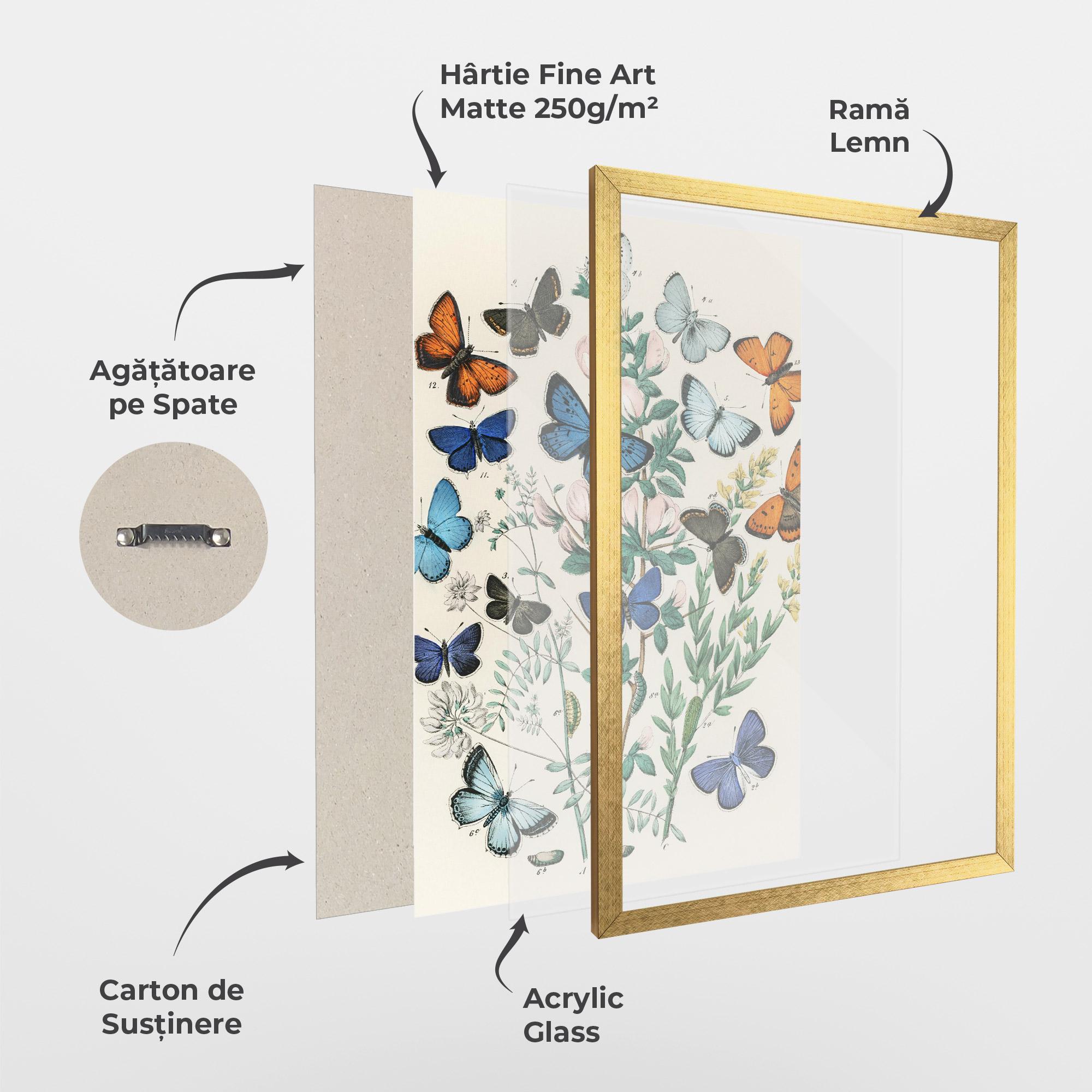 Poster Înrămat Blue Orange Butterflies mockup 1