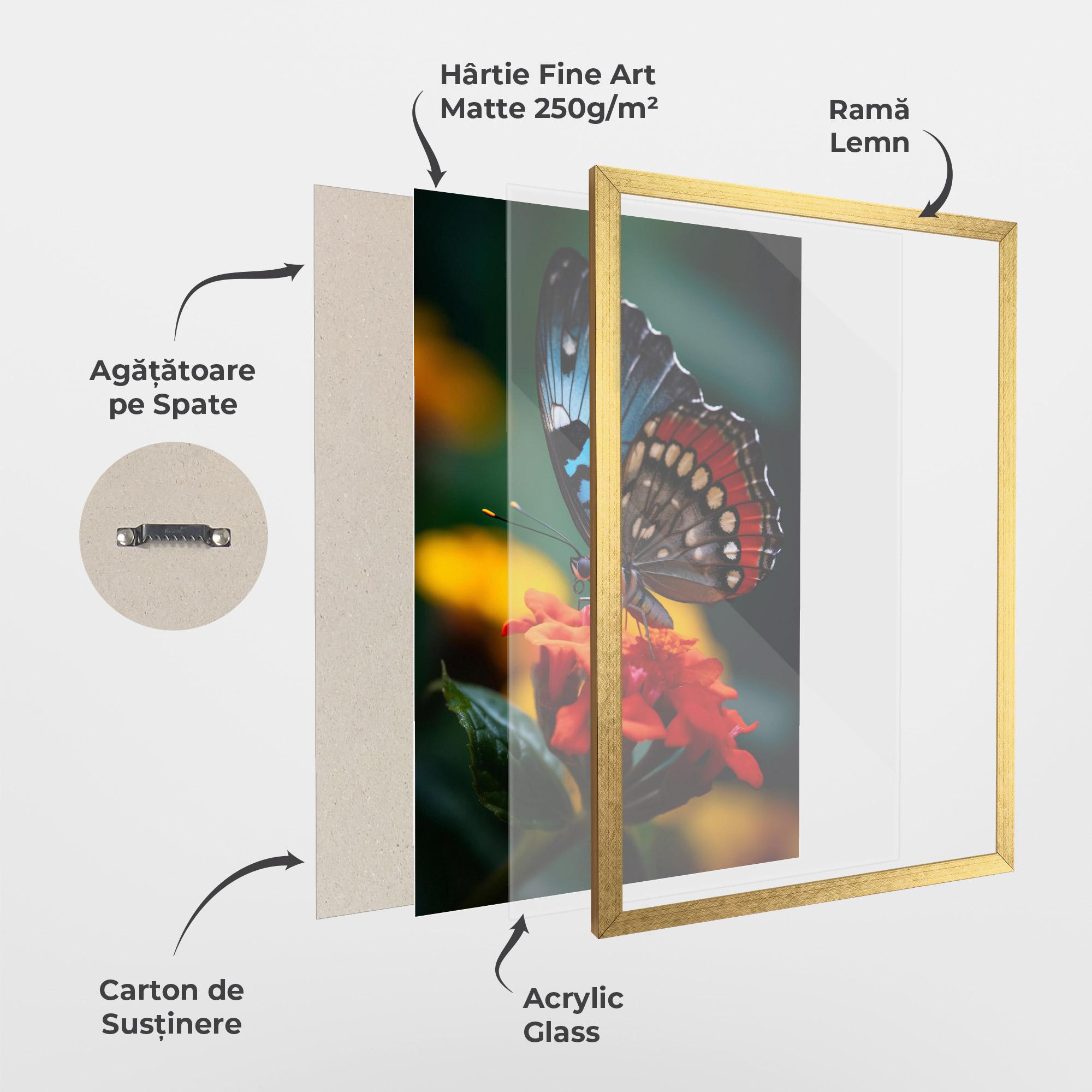 Poster Înrămat Blue Red Butterfly mockup 1