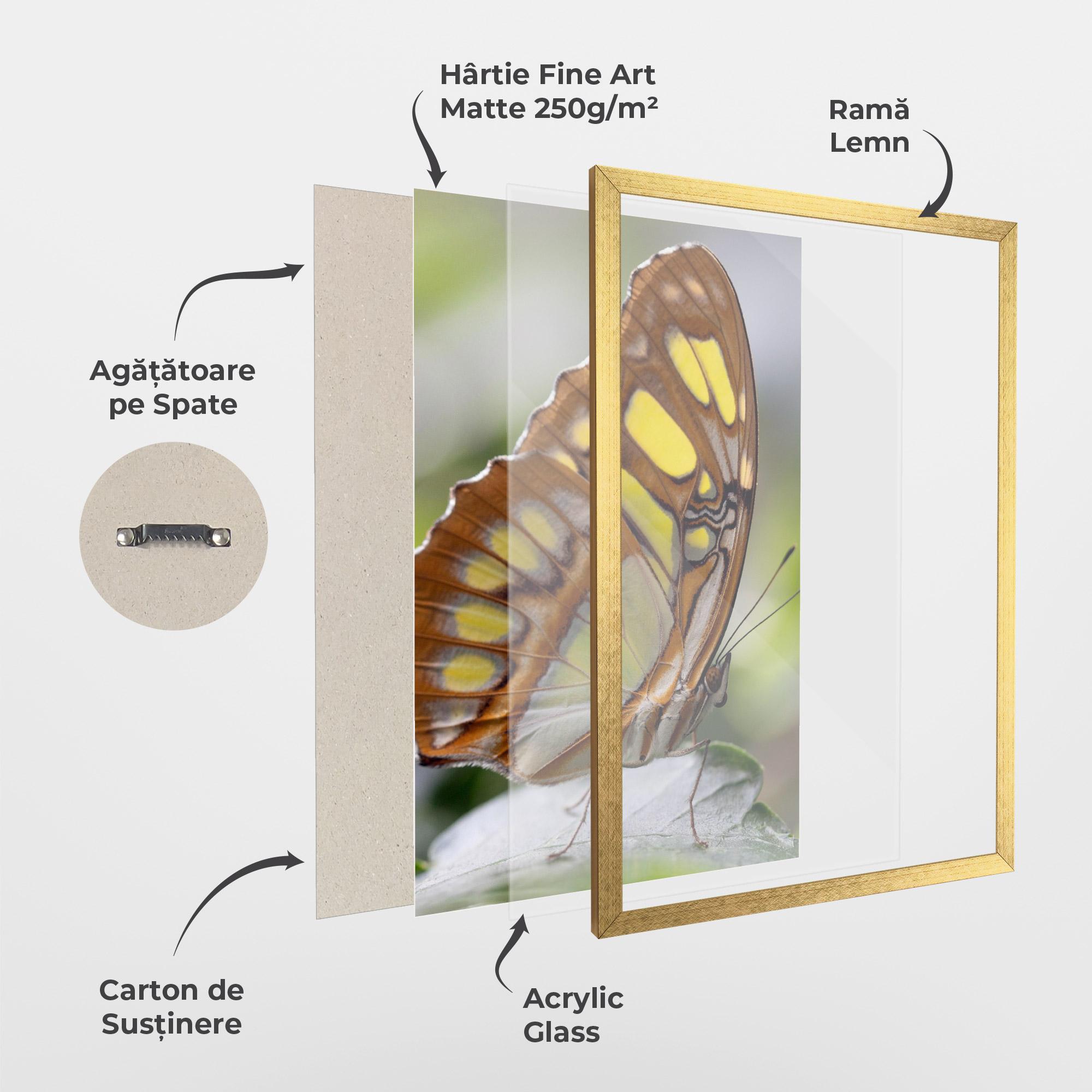 Poster Înrămat Brown Yellow Butterfly mockup 1