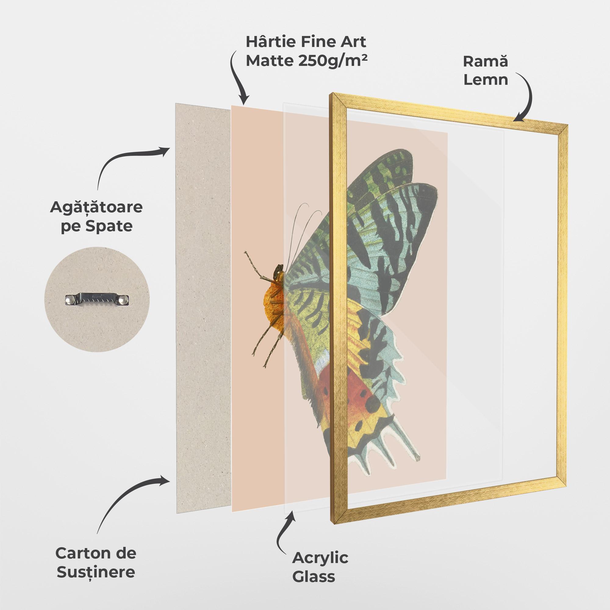 Poster Înrămat Butterfly On Pink mockup 1