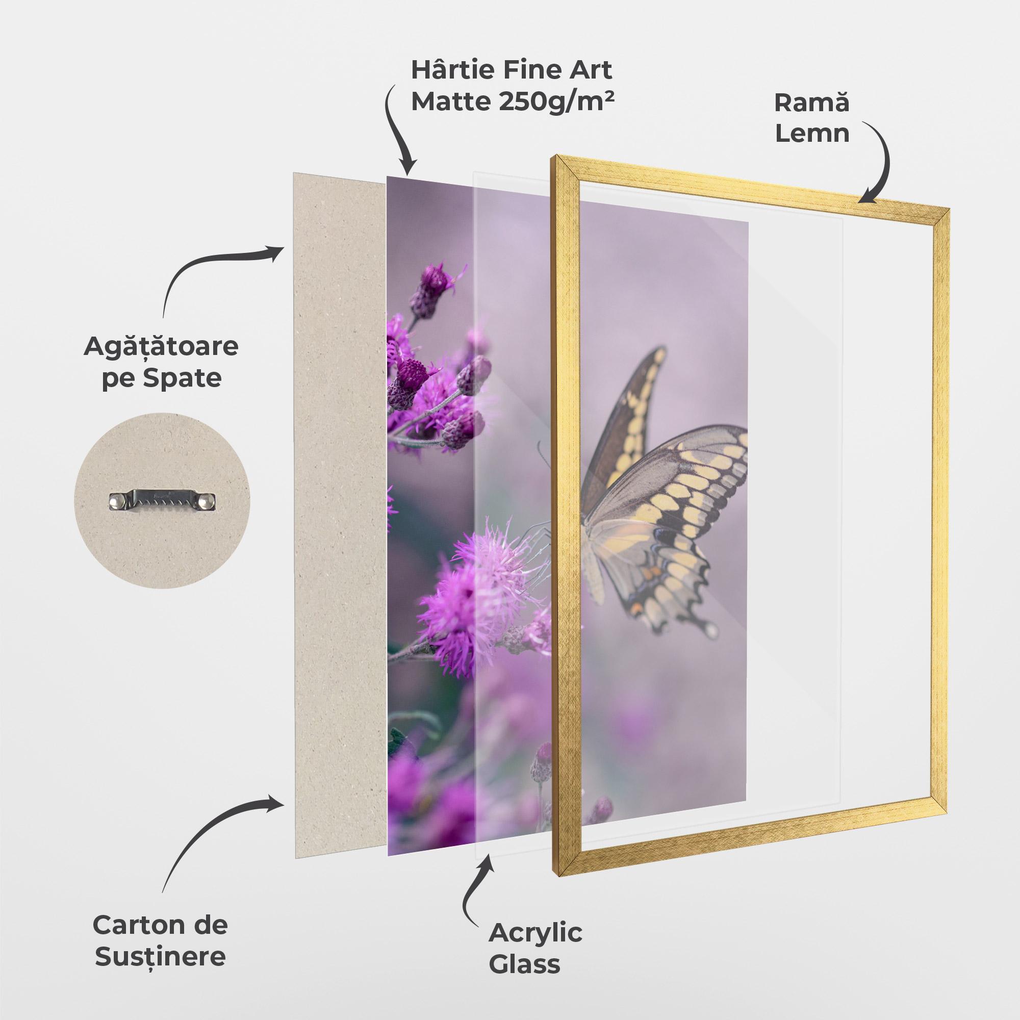 Poster Înrămat Cream Black Butterfly mockup 1