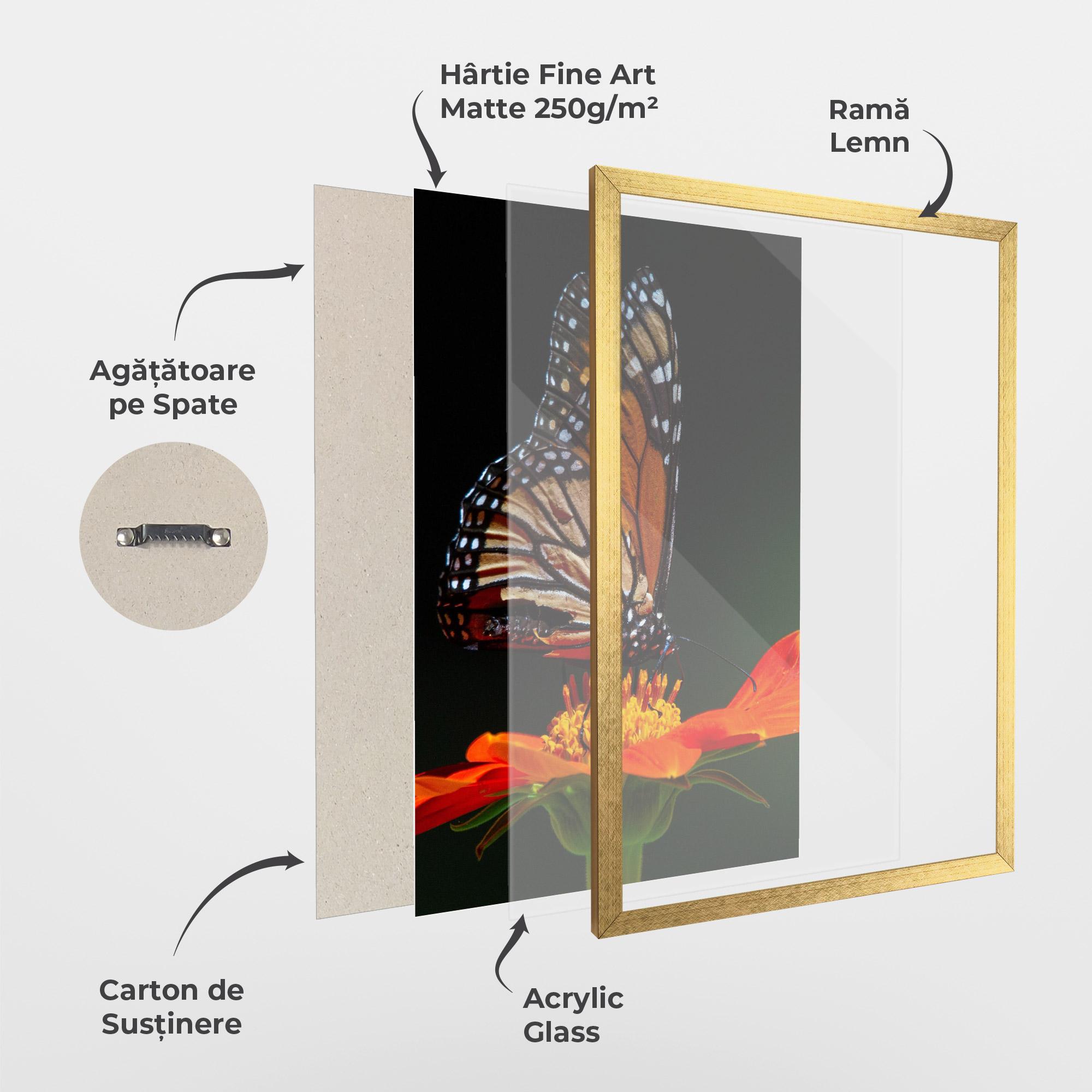 Poster Înrămat Dark Orange Butterfy mockup 1