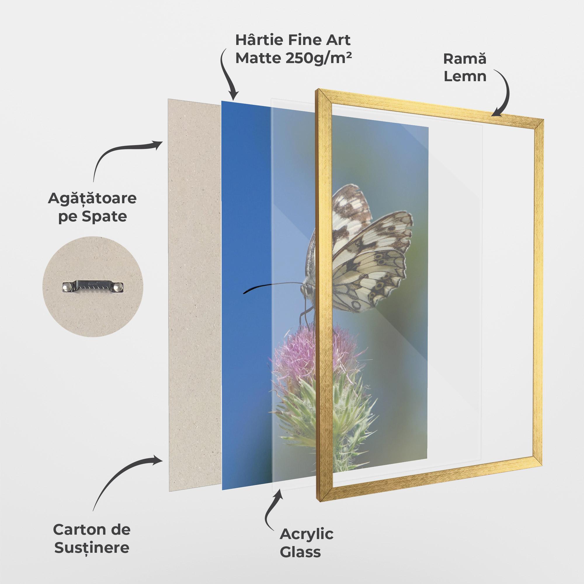 Poster Înrămat Grey White Butterfly mockup 1