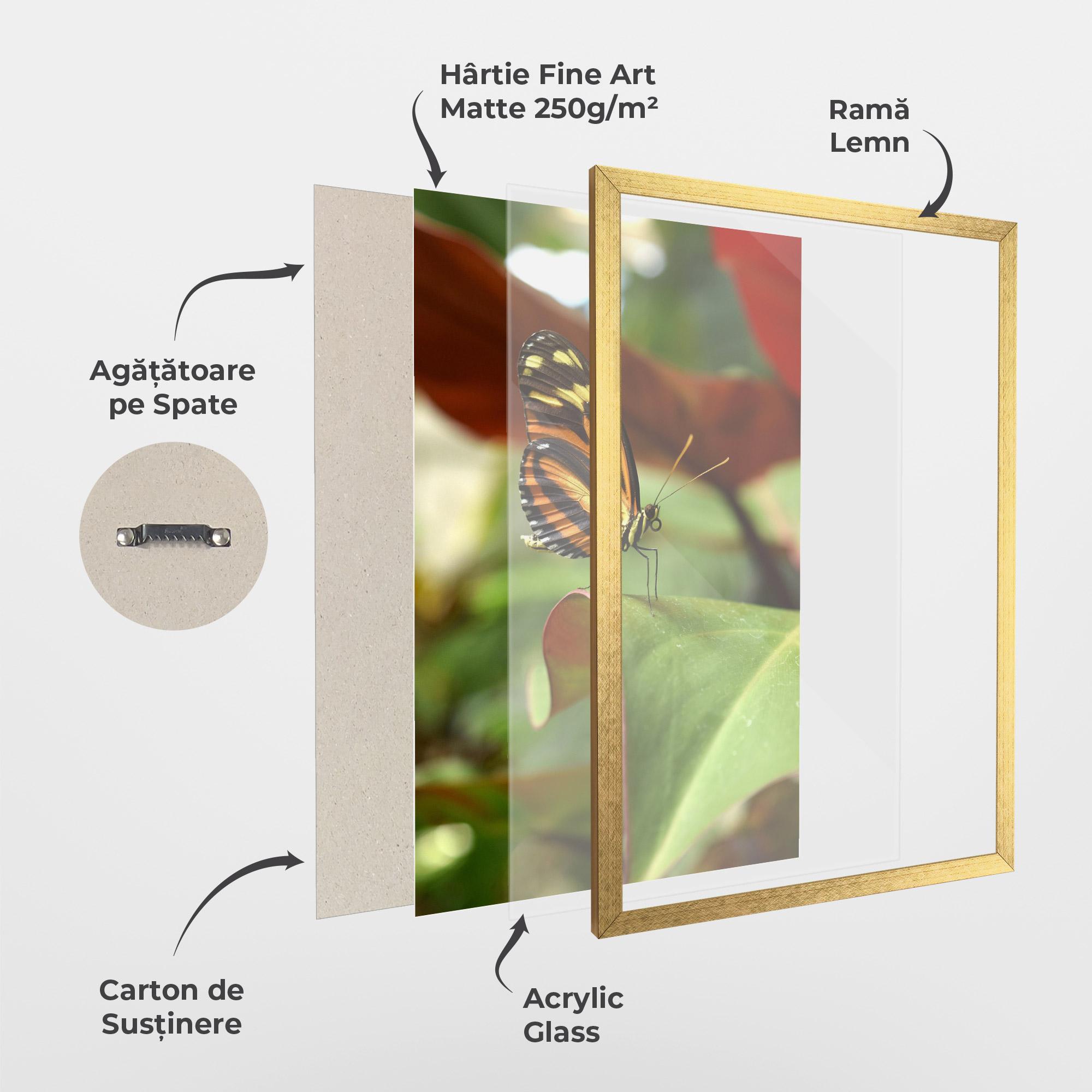 Poster Înrămat Orange Yellow Butterfly mockup 1