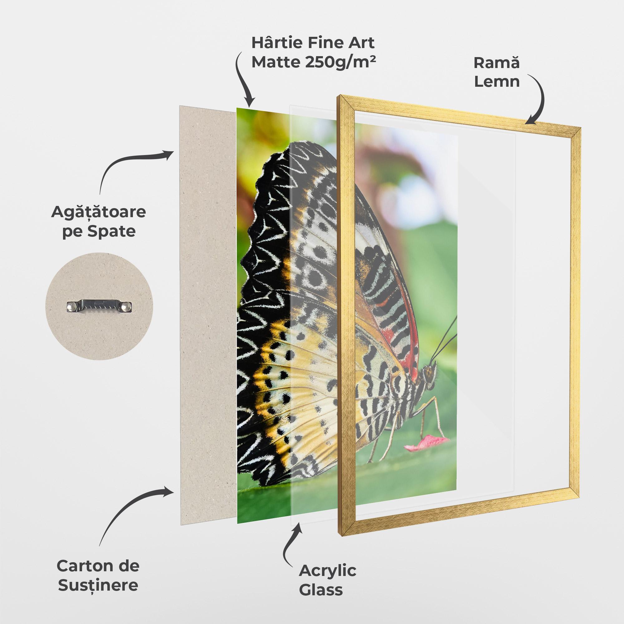 Poster Înrămat Pretty Colorful Butterfly mockup 1
