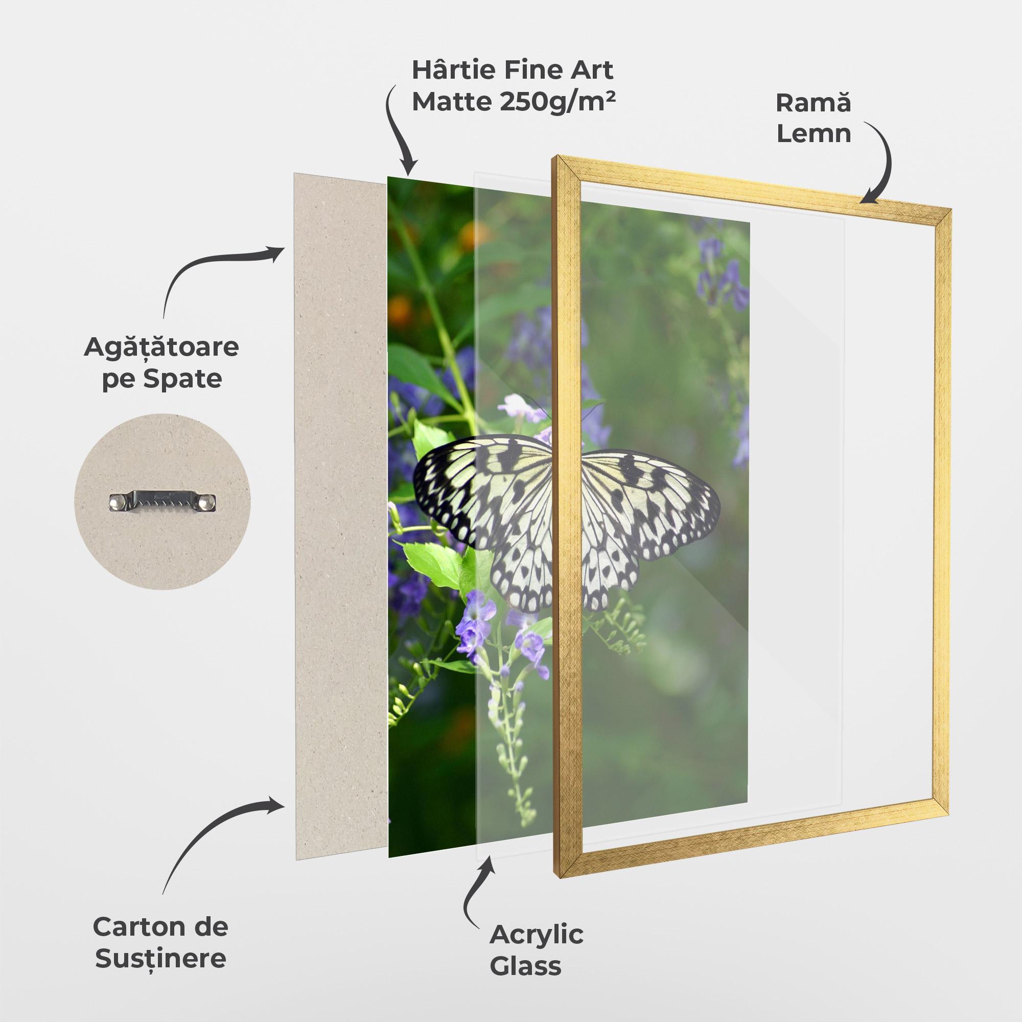 Poster Înrămat Pretty White Butterfly mockup 1