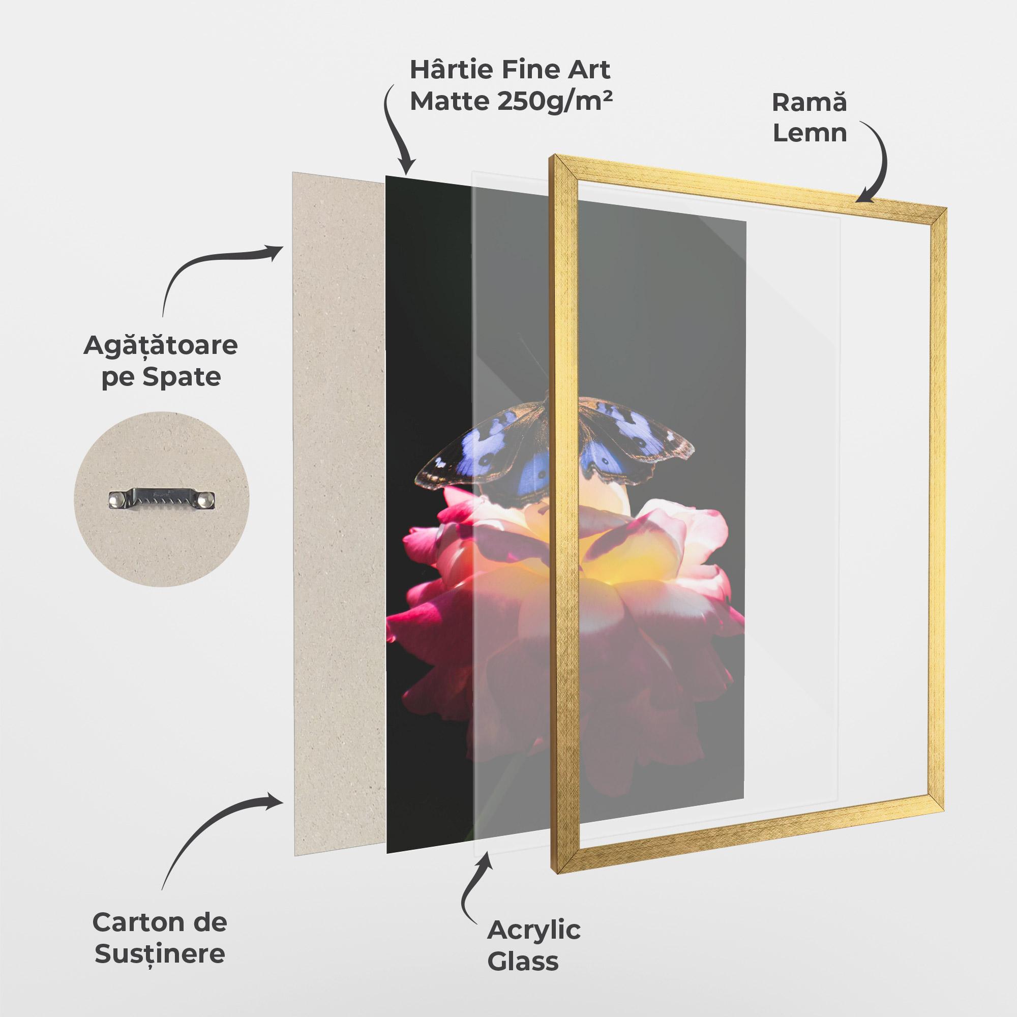 Poster Înrămat Rose Butterfly mockup 1