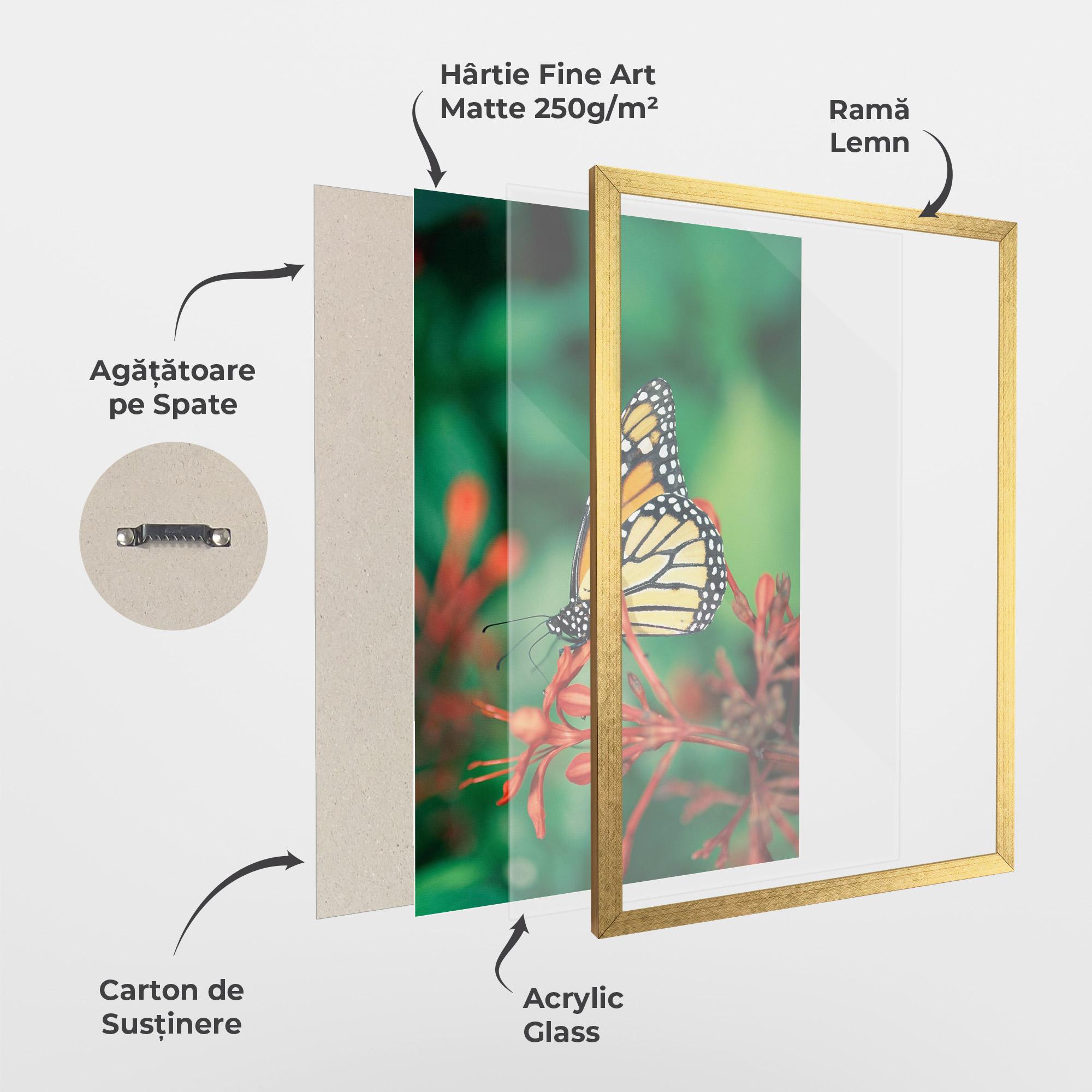 Poster Înrămat Small Orange Butterfly mockup 1