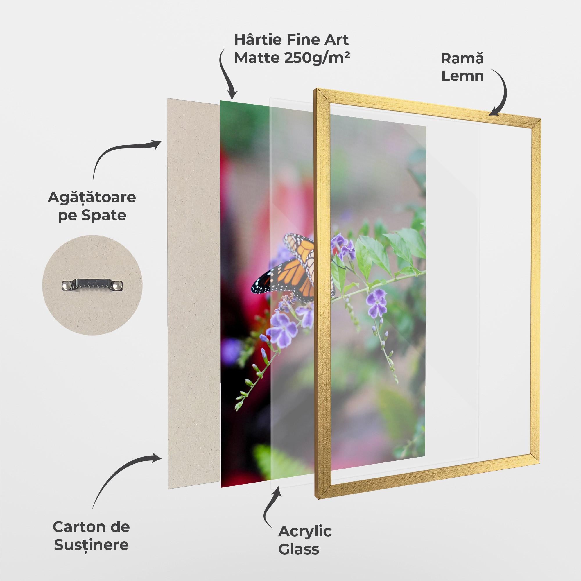 Poster Înrămat Strong Orange Butterfly mockup 1